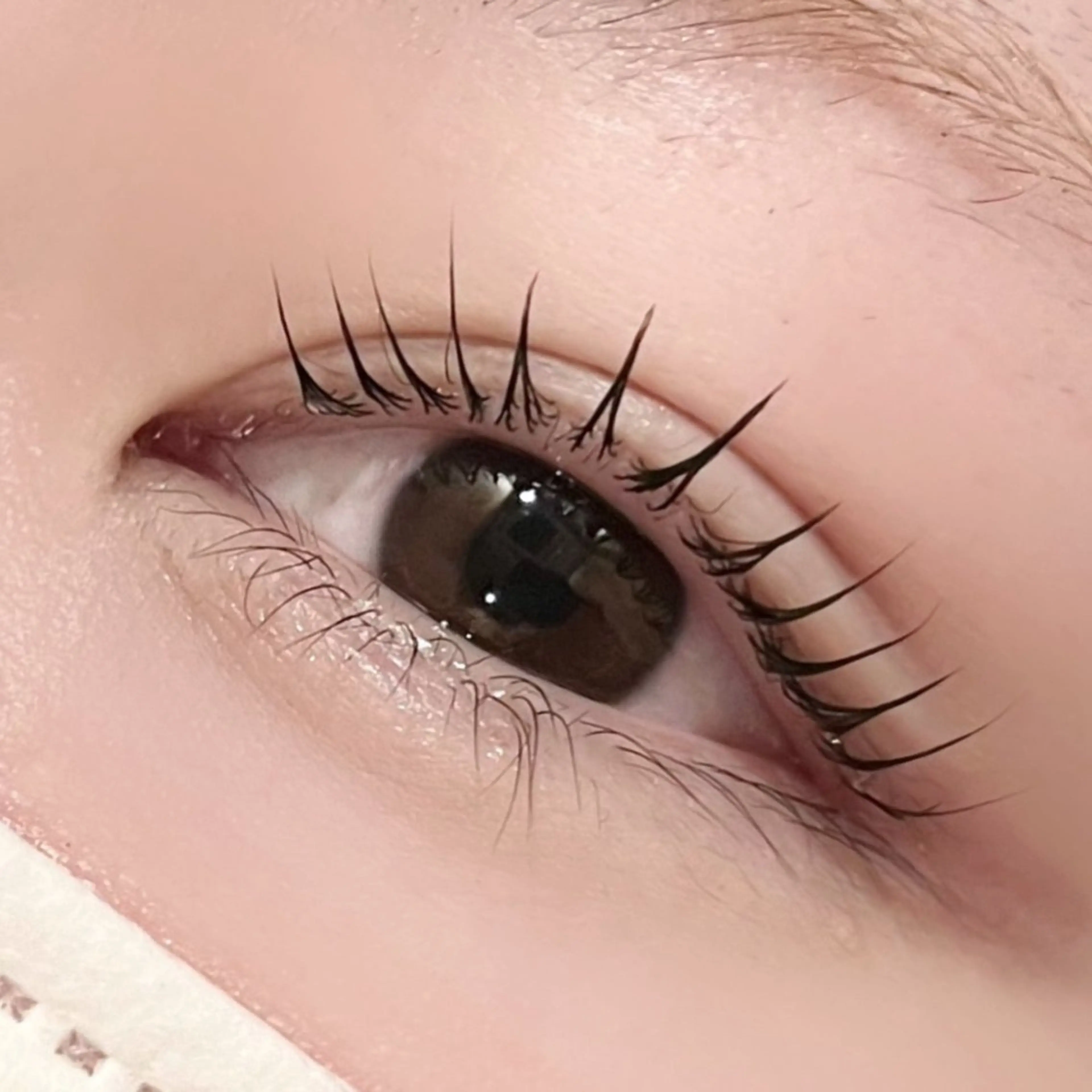 マツエク・マツパ パリジェンヌラッシュリフト pono大宮東口店 RIOのマツエク・マツパデザイン