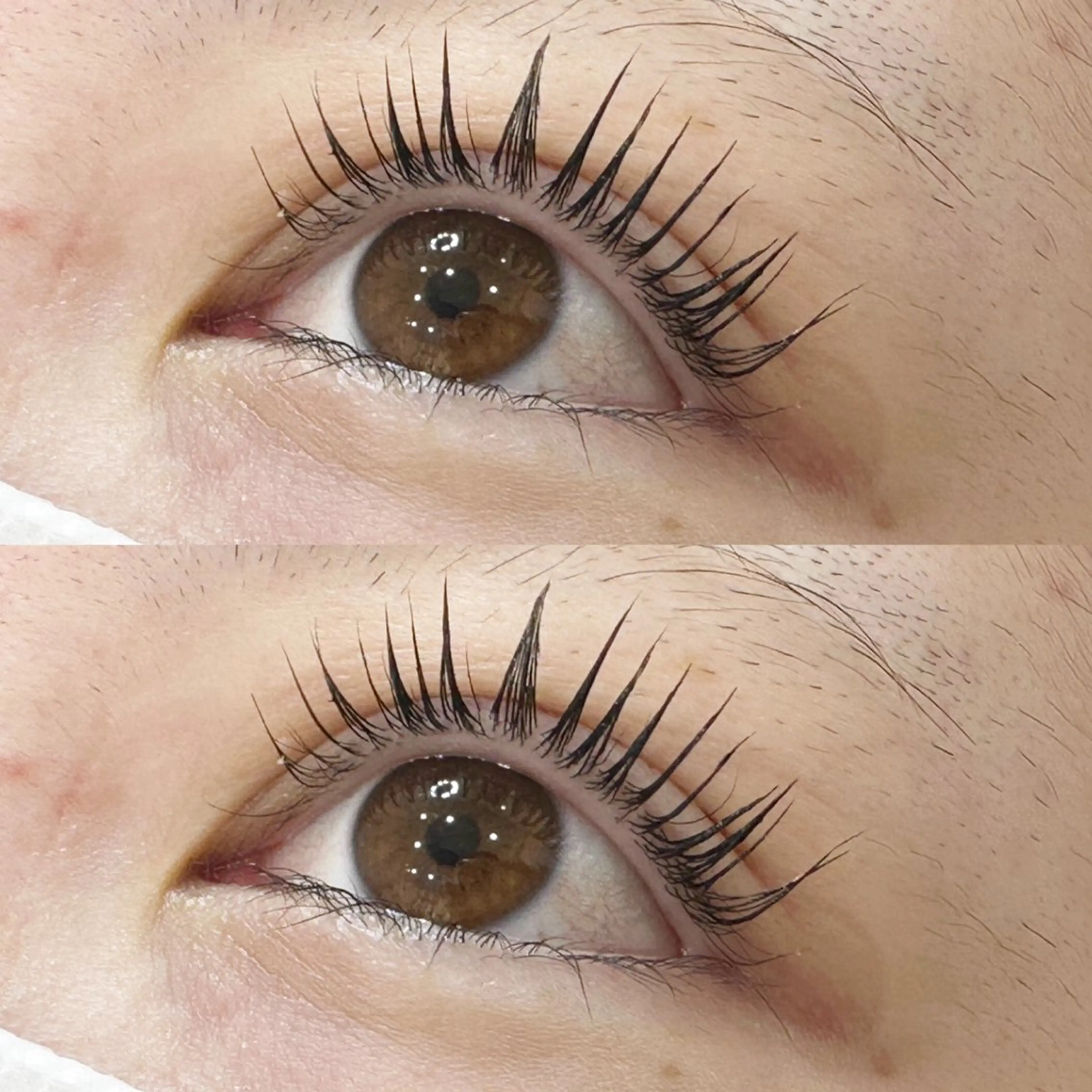 パリジェンヌはもう古い？？痛まずまつ毛が伸びる！育つ！最先端マツ育パーマ🪐🪐 “マイラミネーション”✨✨の写真