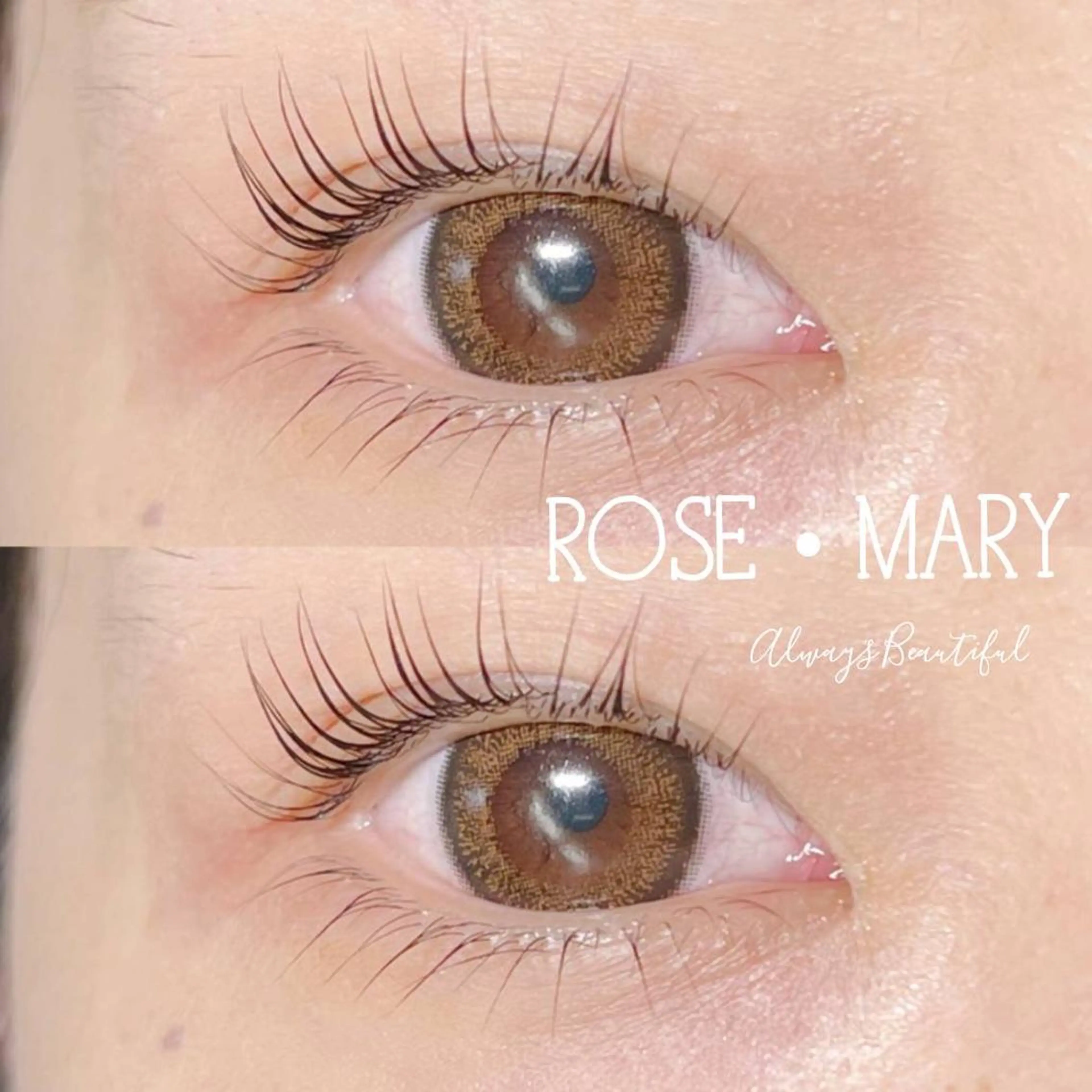 マツエク・マツパ マツパ ROSE MARY 大竹のマツエク・マツパデザイン