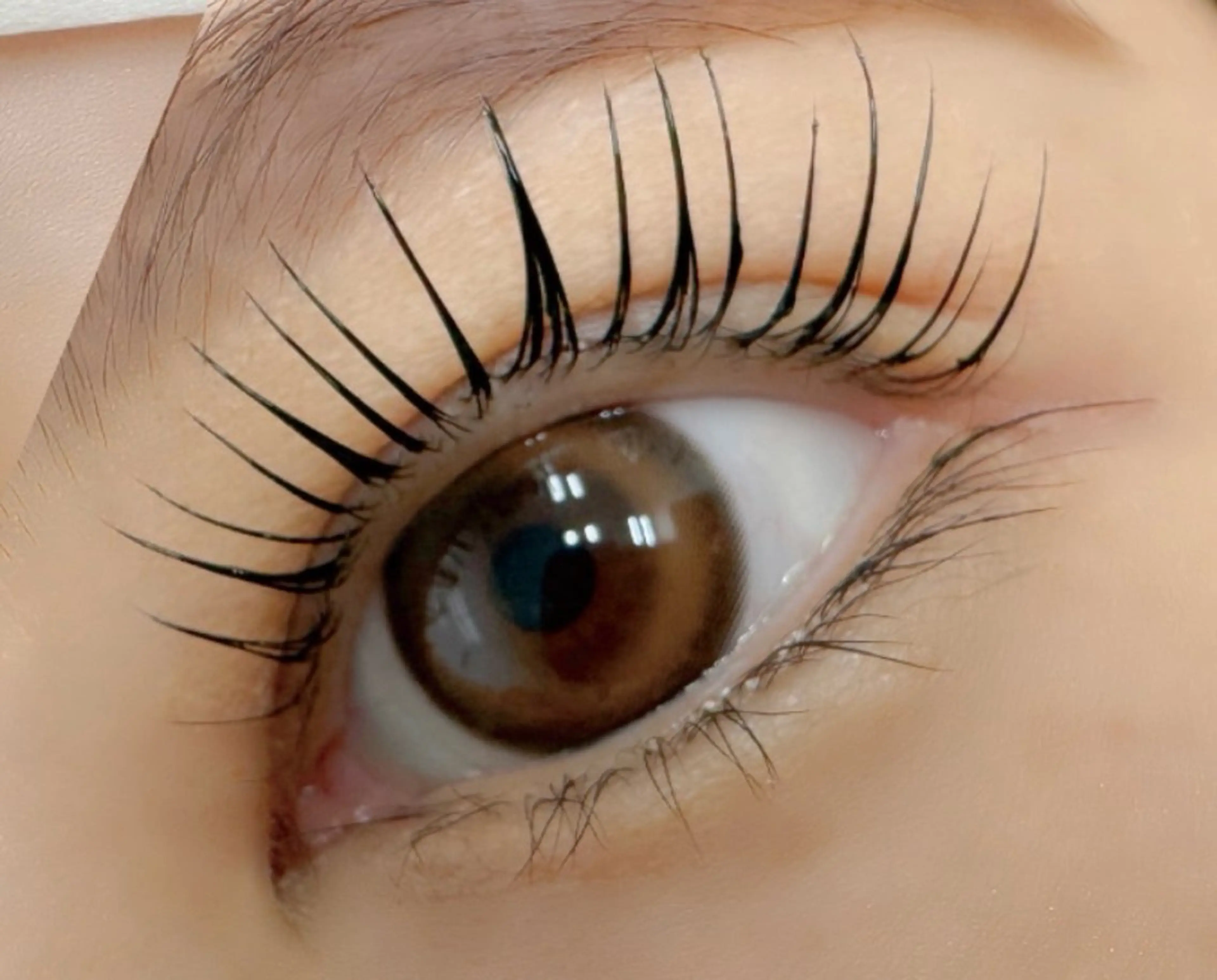 マツエク・マツパ Eyelash Luaのマツエク・マツパデザイン