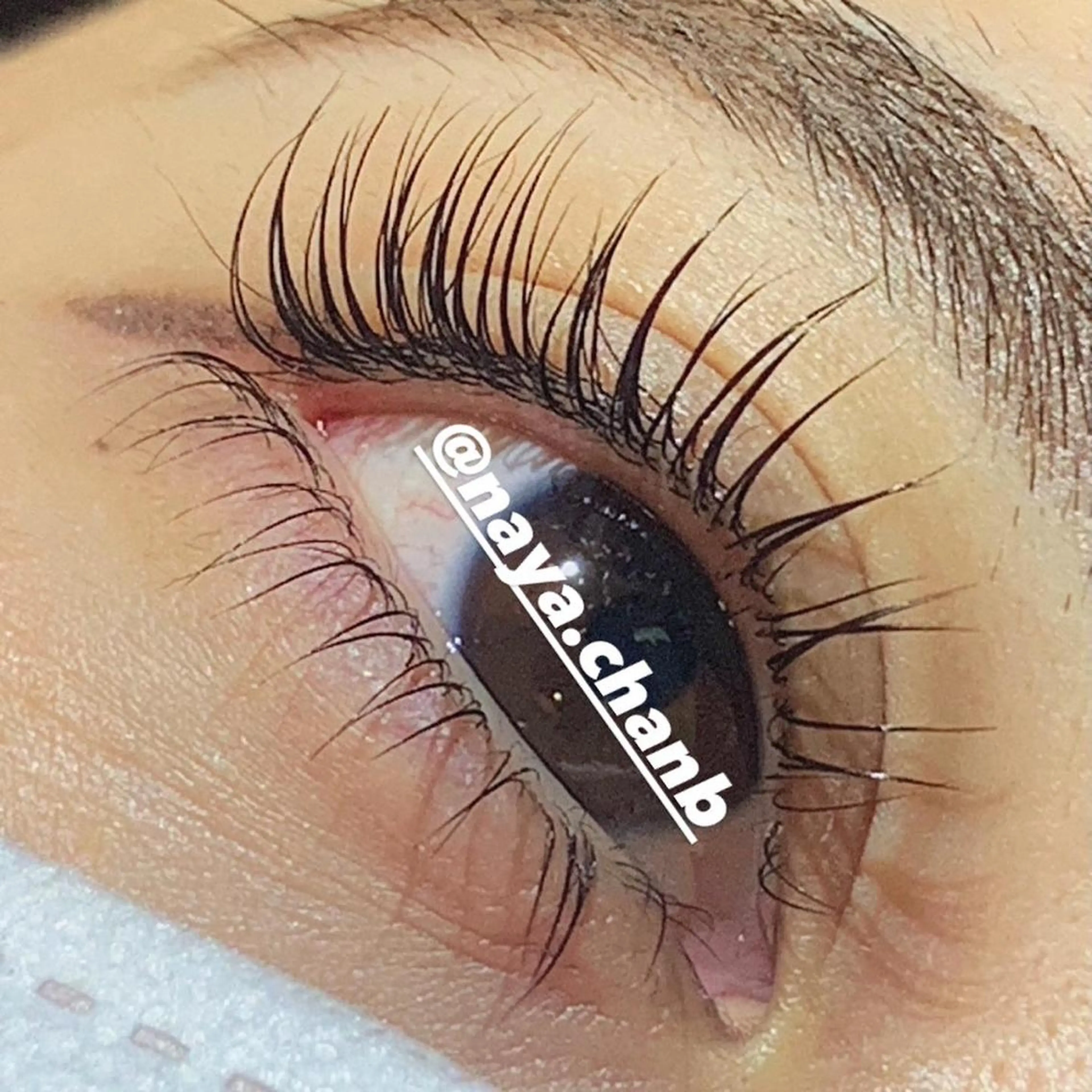 マツエク・マツパ ミンク まつげパーマ セーブル 一重×まつ毛パーマ アイラッシュリゾート　カハラ　立川所属・🦎kahala なや🦎のマツエク・マツパデザイン