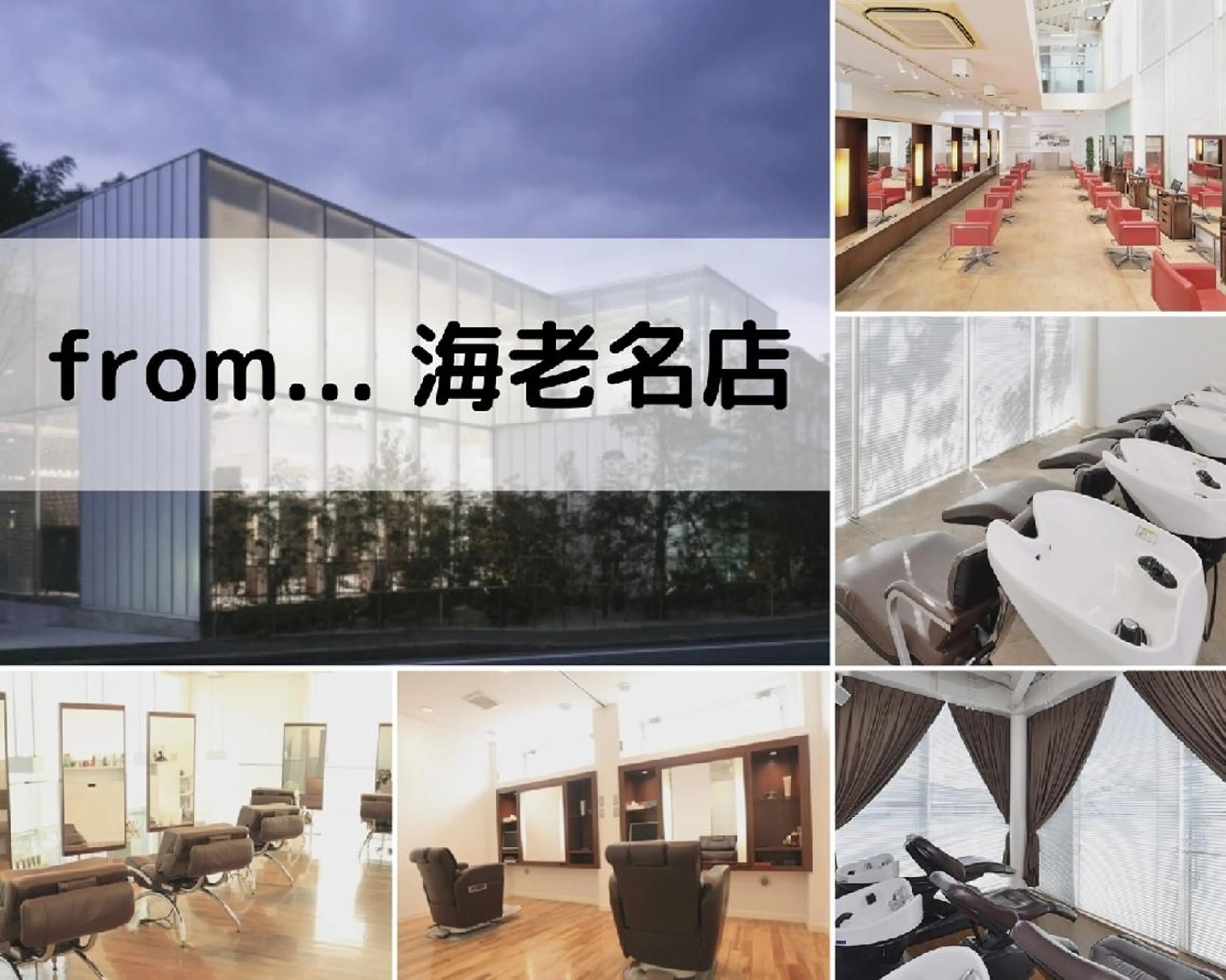 カット、レディースカラーの写真