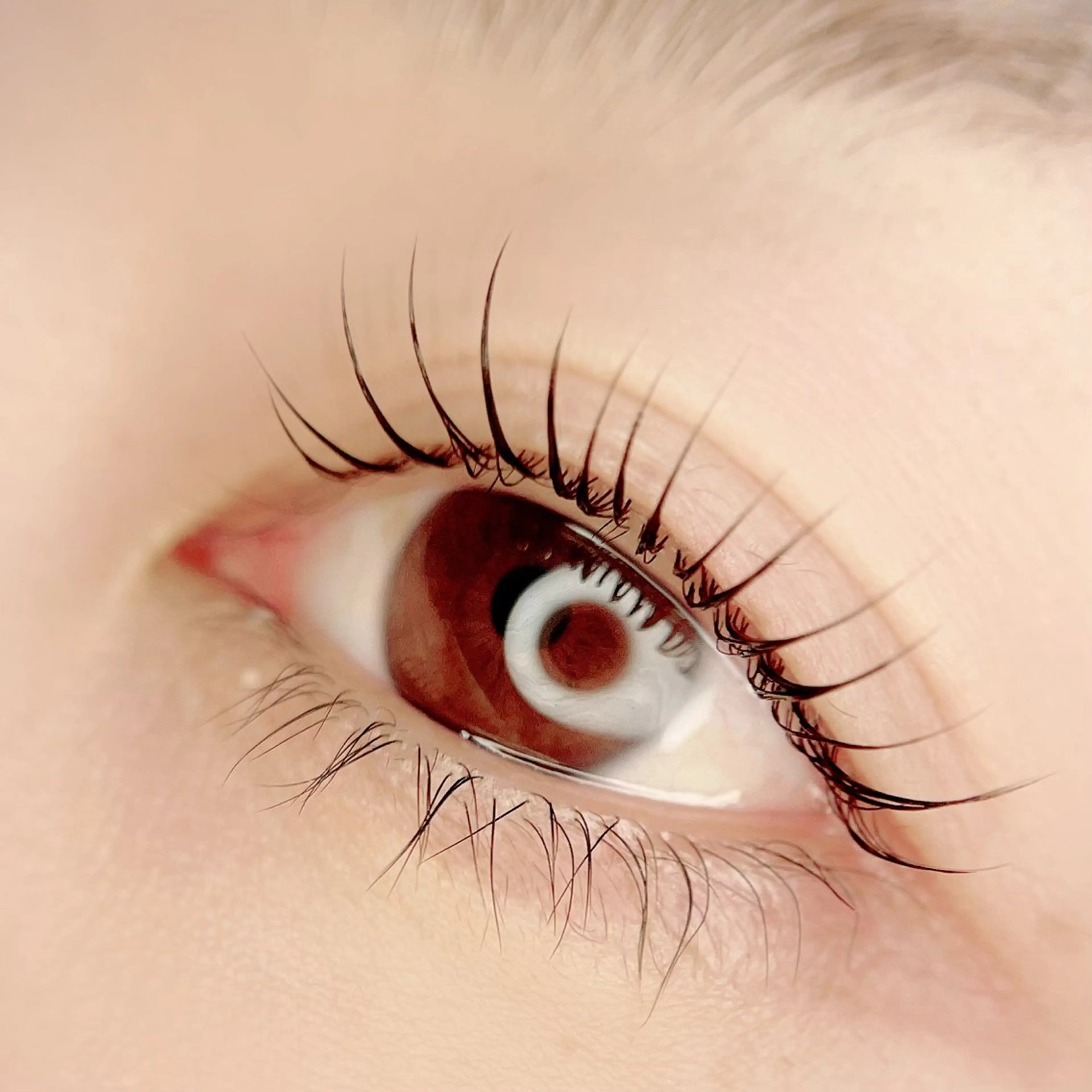 🫧ケラチントリートメントラッシュリフト上まつ毛🫧アイシャンプーつき🫧の写真