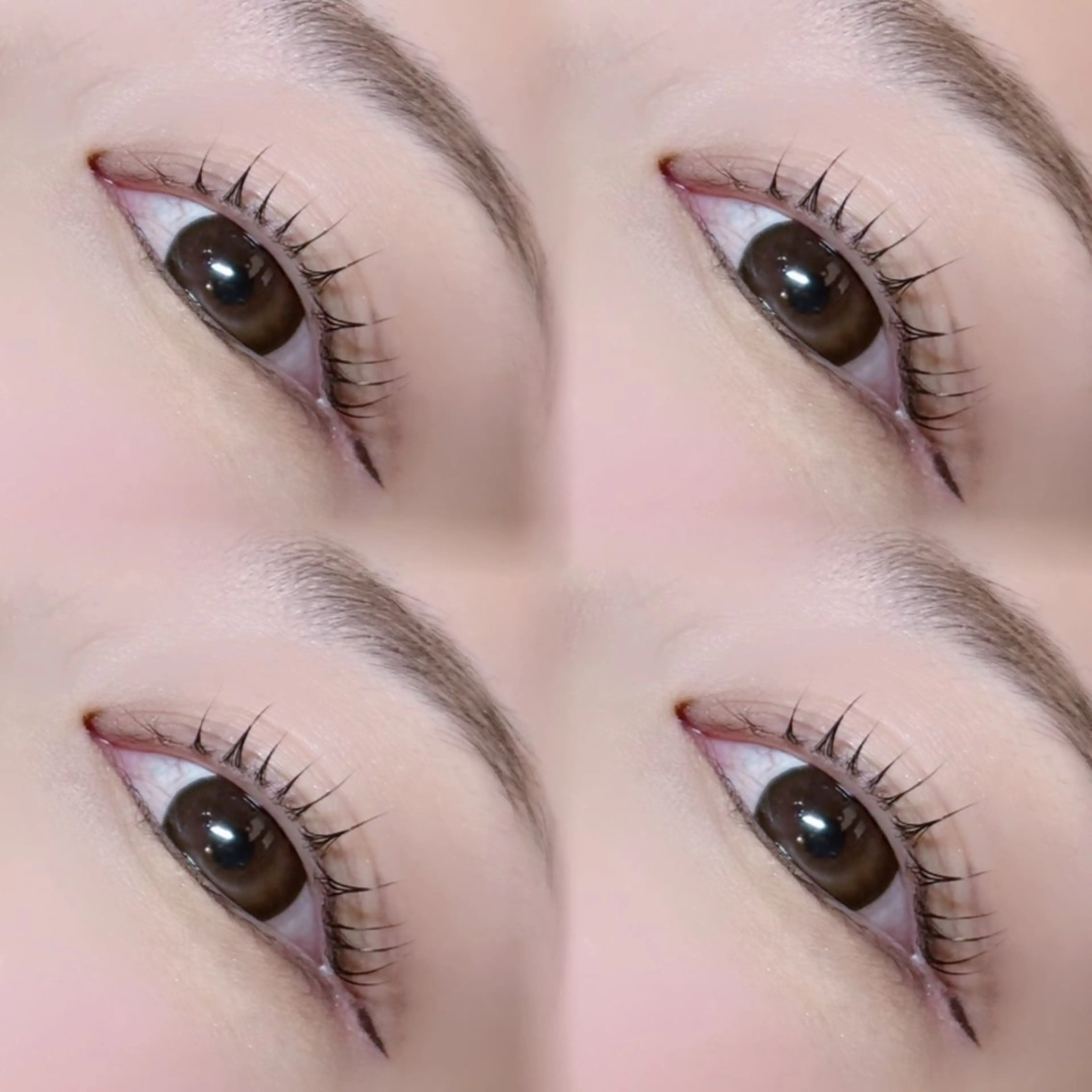 マツエク・マツパ bello‎꙳⟡ 村上のマツエク・マツパデザイン