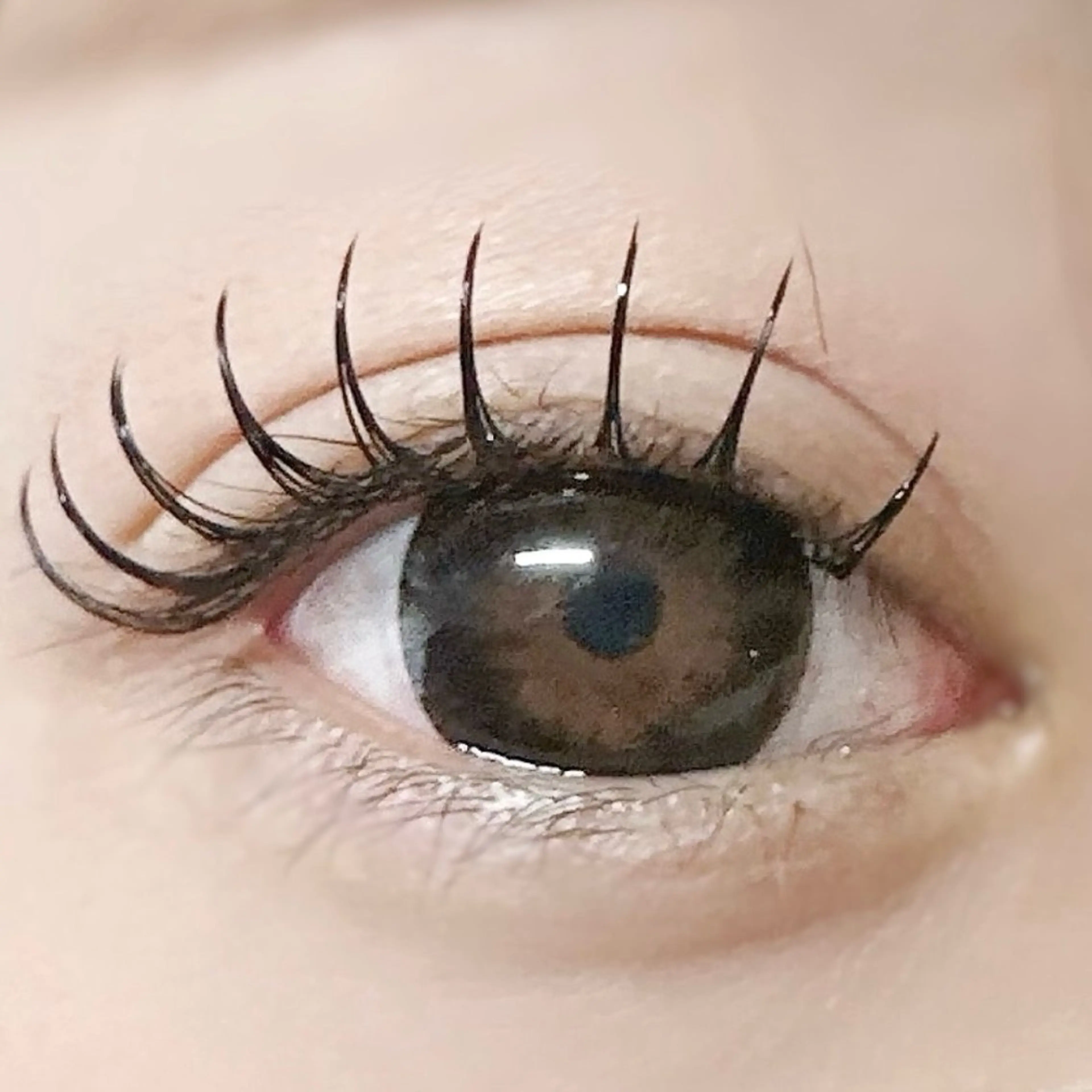 マツエク・マツパ Dカール フラットラッシュ マツエク マツエク専門店 cyunaのマツエク・マツパデザイン