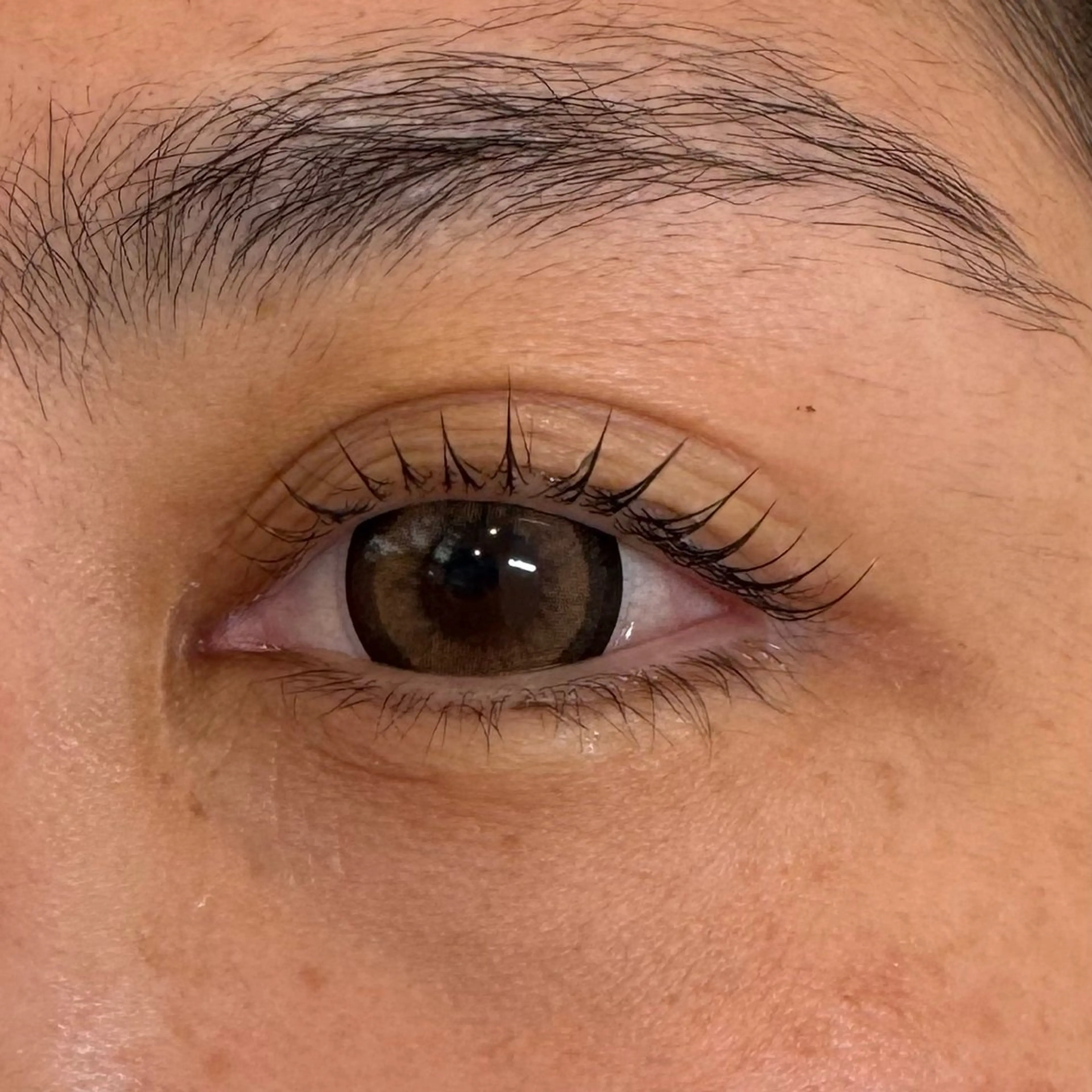 マツエク・マツパ starsky所属・nishida seraのマツエク・マツパデザイン