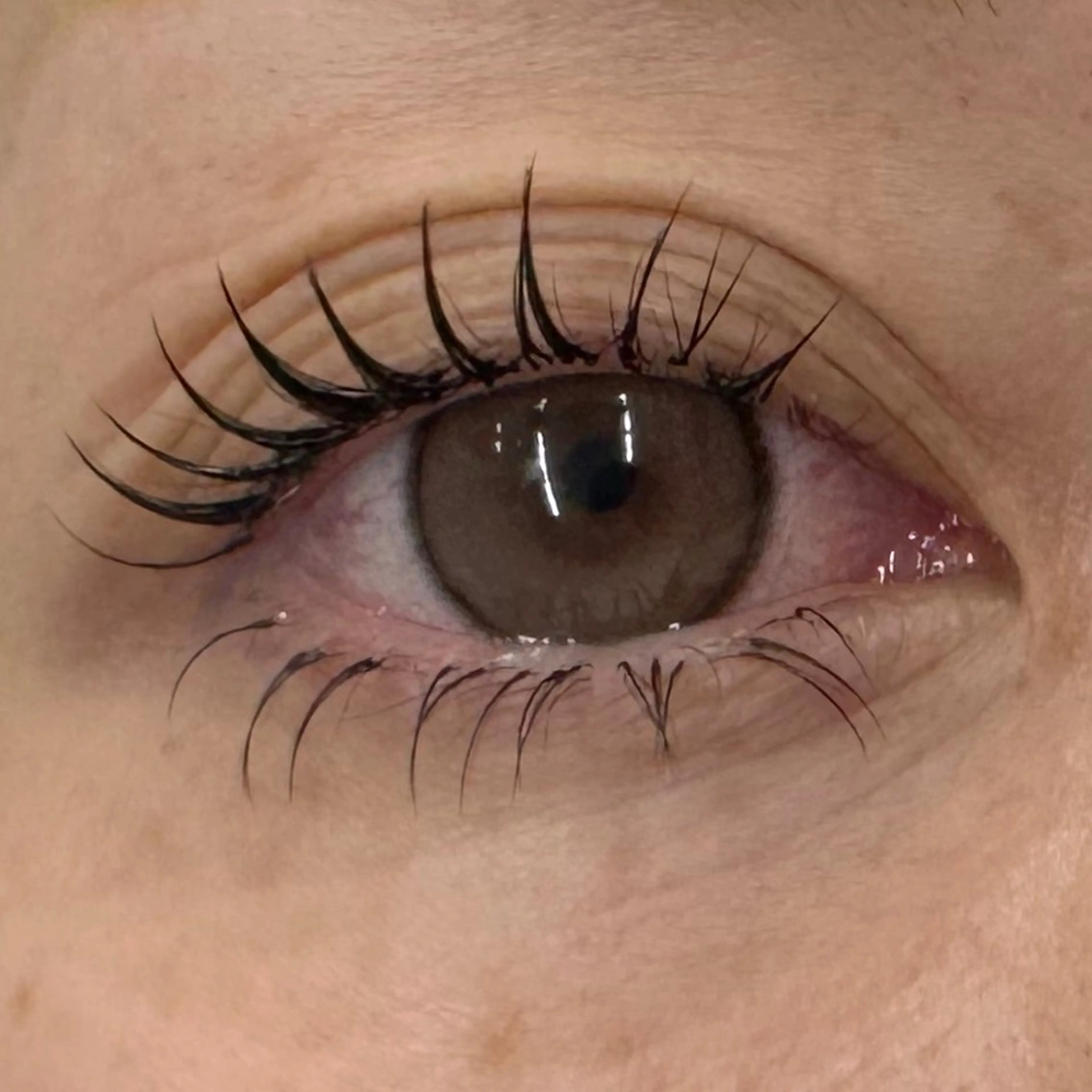 LED💡下マツエク30本￥3700の写真