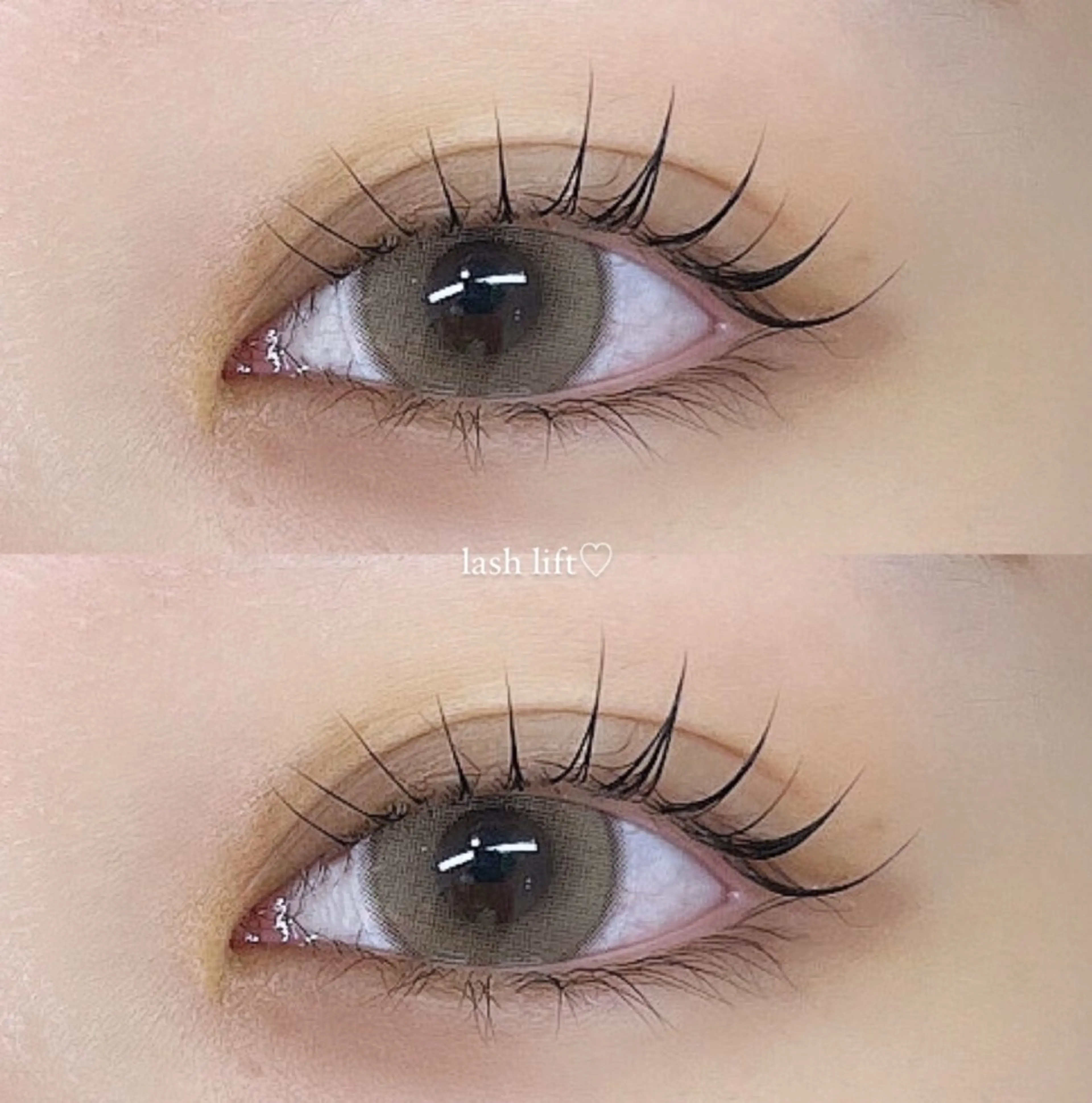 リピーター様価格⭐️まつ毛パーマorパリジェンヌラッシュリフトの写真