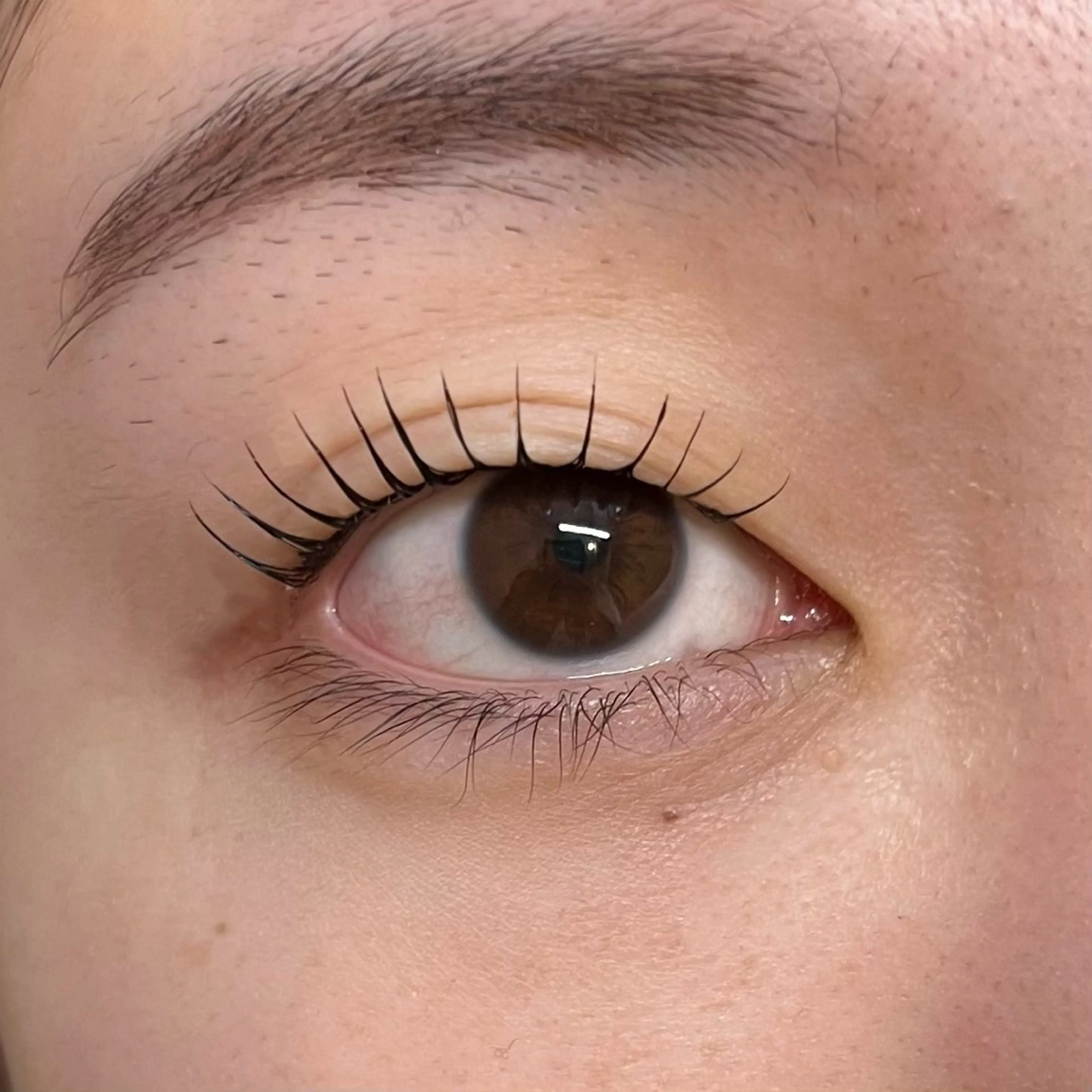 マツエク・マツパ マツパ nouvell セキモユウカ🦄のマツエク・マツパデザイン