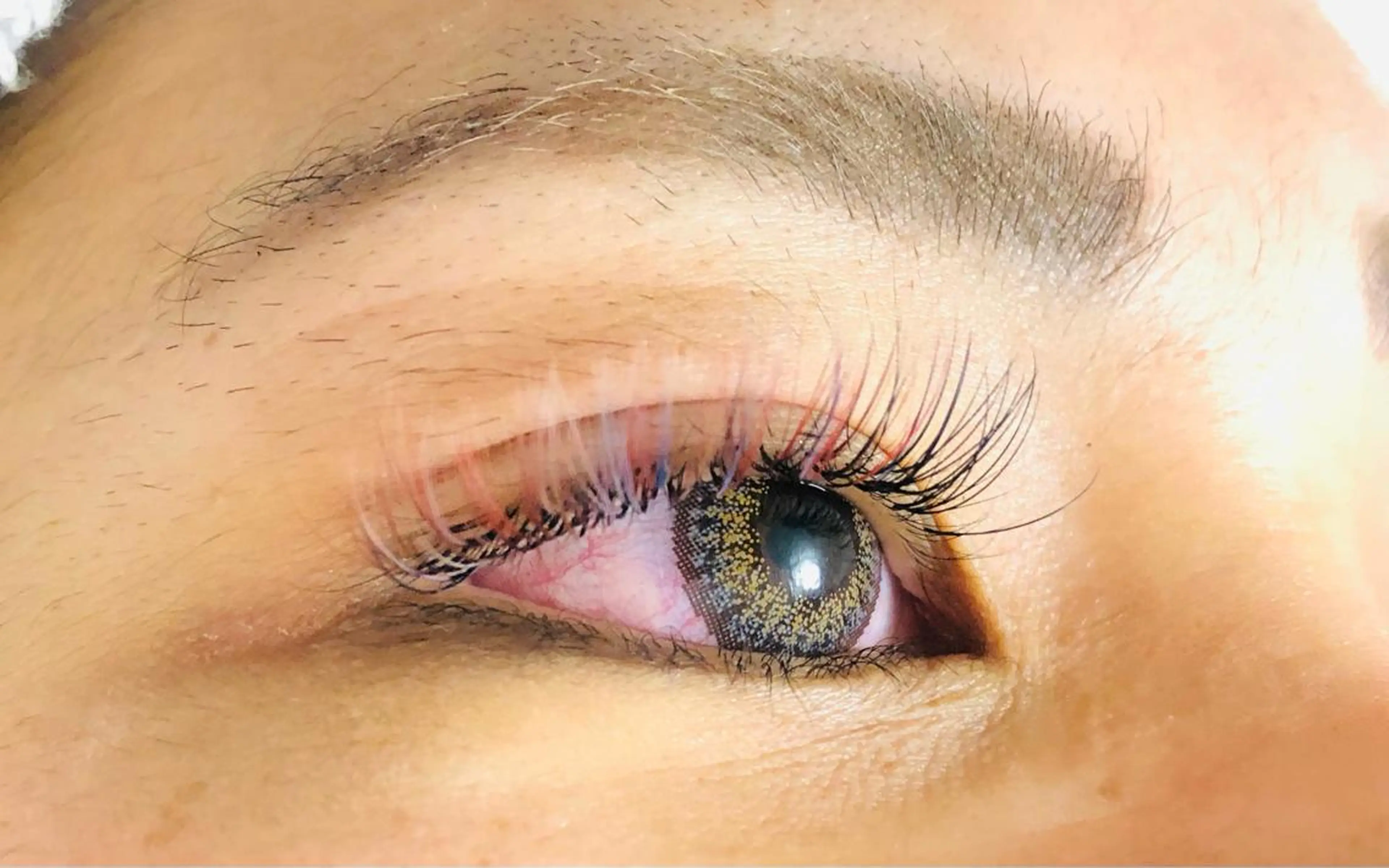 カラーマツエクつけ放題【期間限定料金】の写真