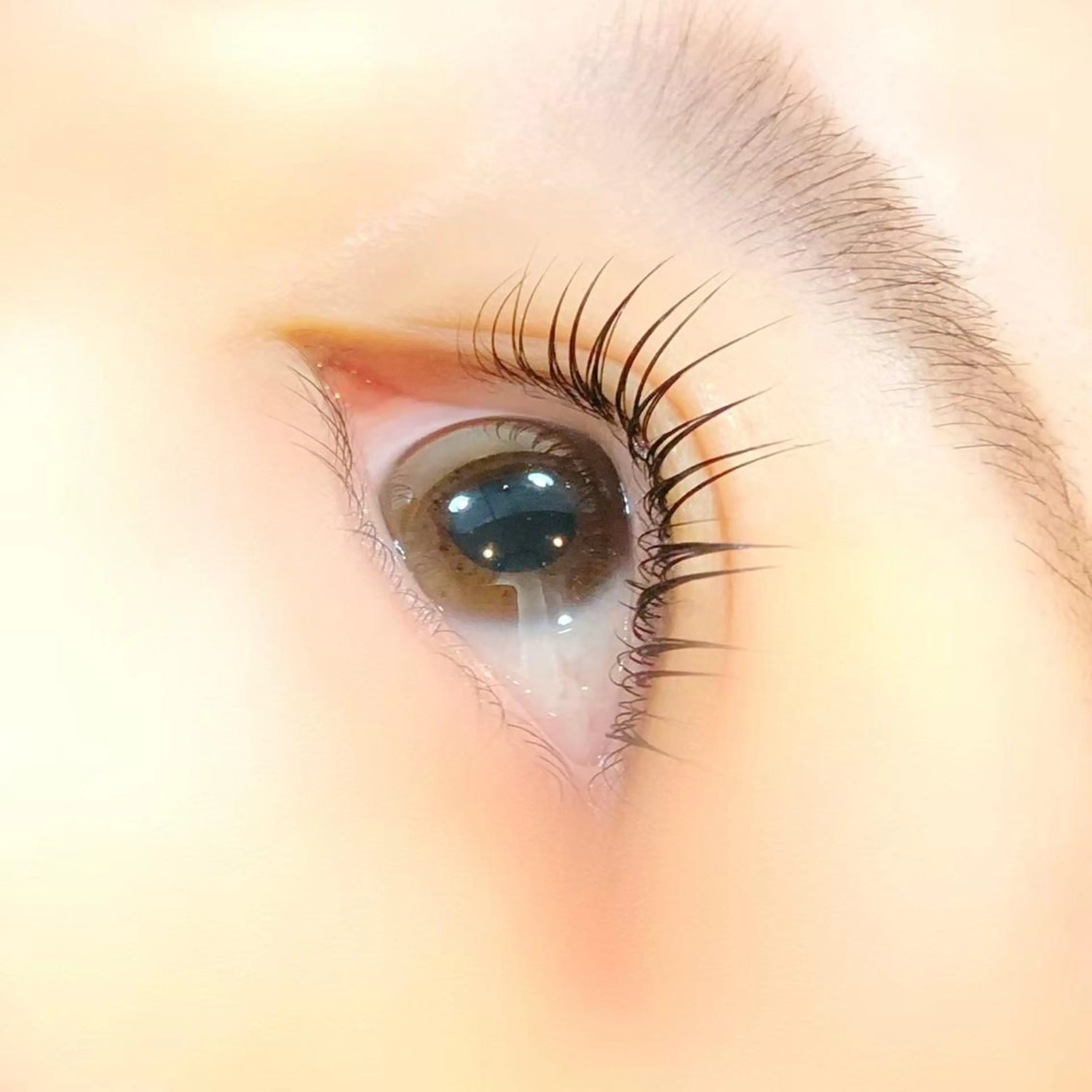 【リピーター様用🍋🍋】まつげパーマラッシュリフト🫧パリジェンヌ🤍の写真