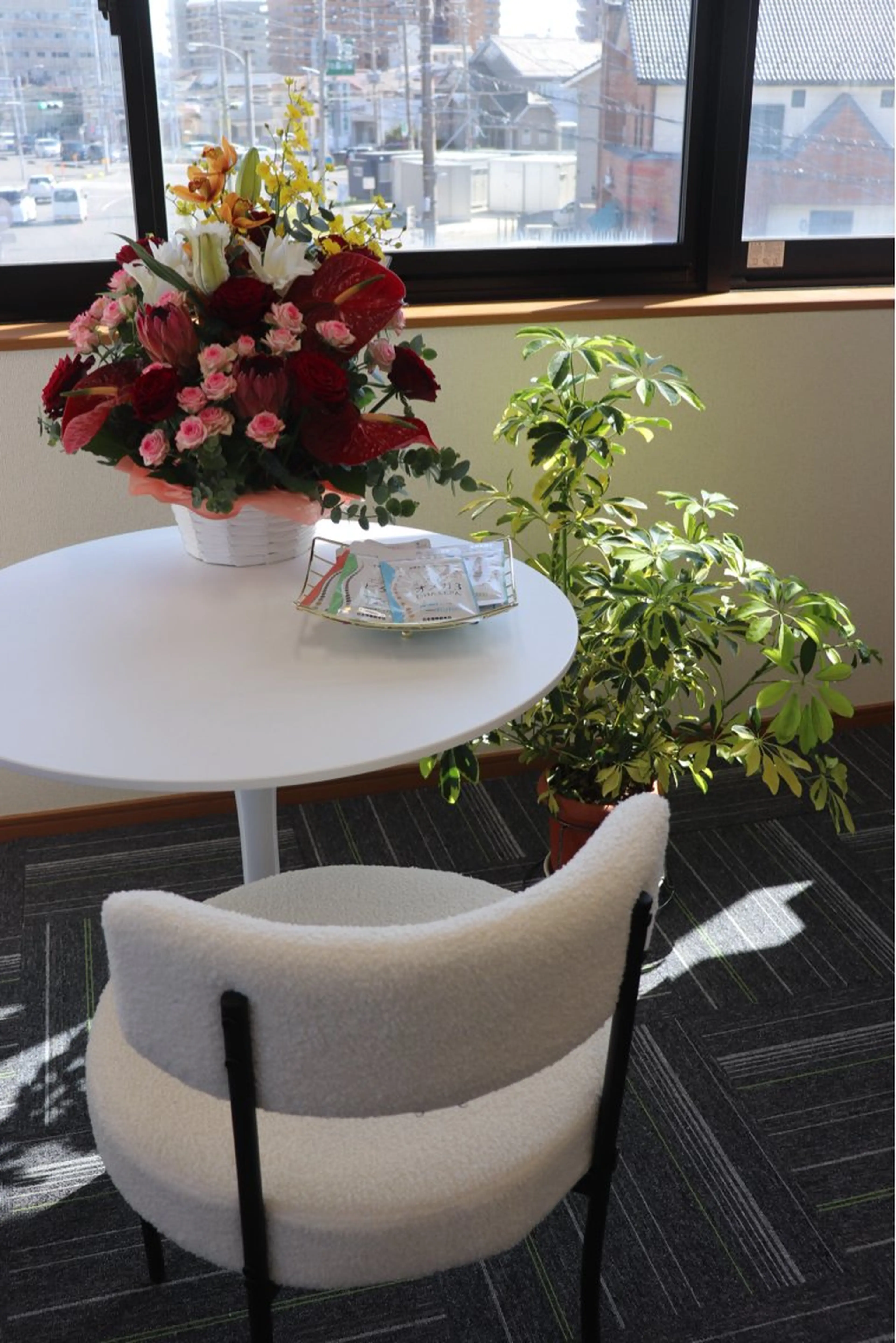 カイロプラクティック Salute所属・IIDA YASUHAのエステ・リラクイメージ