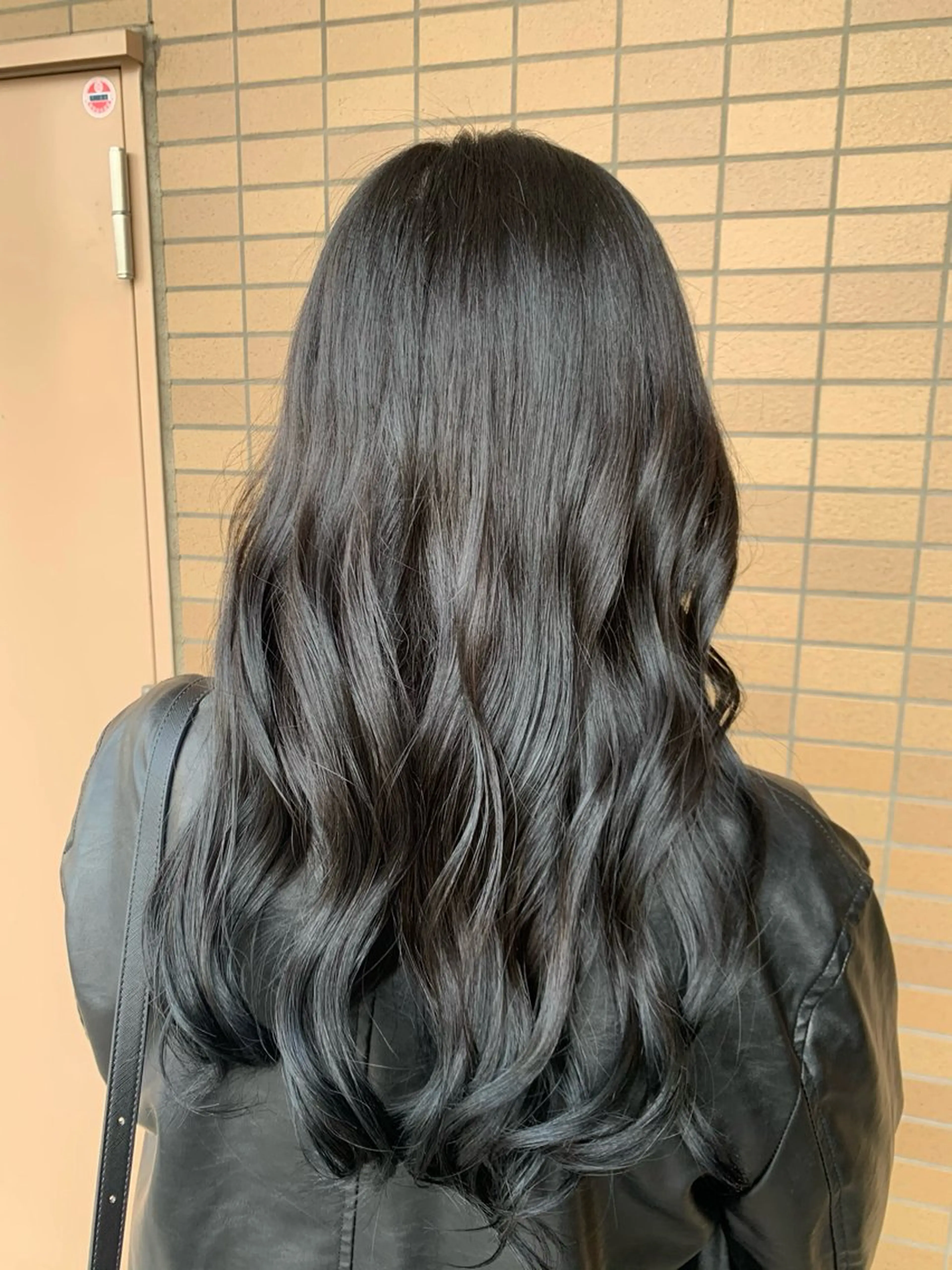 ロング カラー ヒヨシ ルナのヘアスタイル
