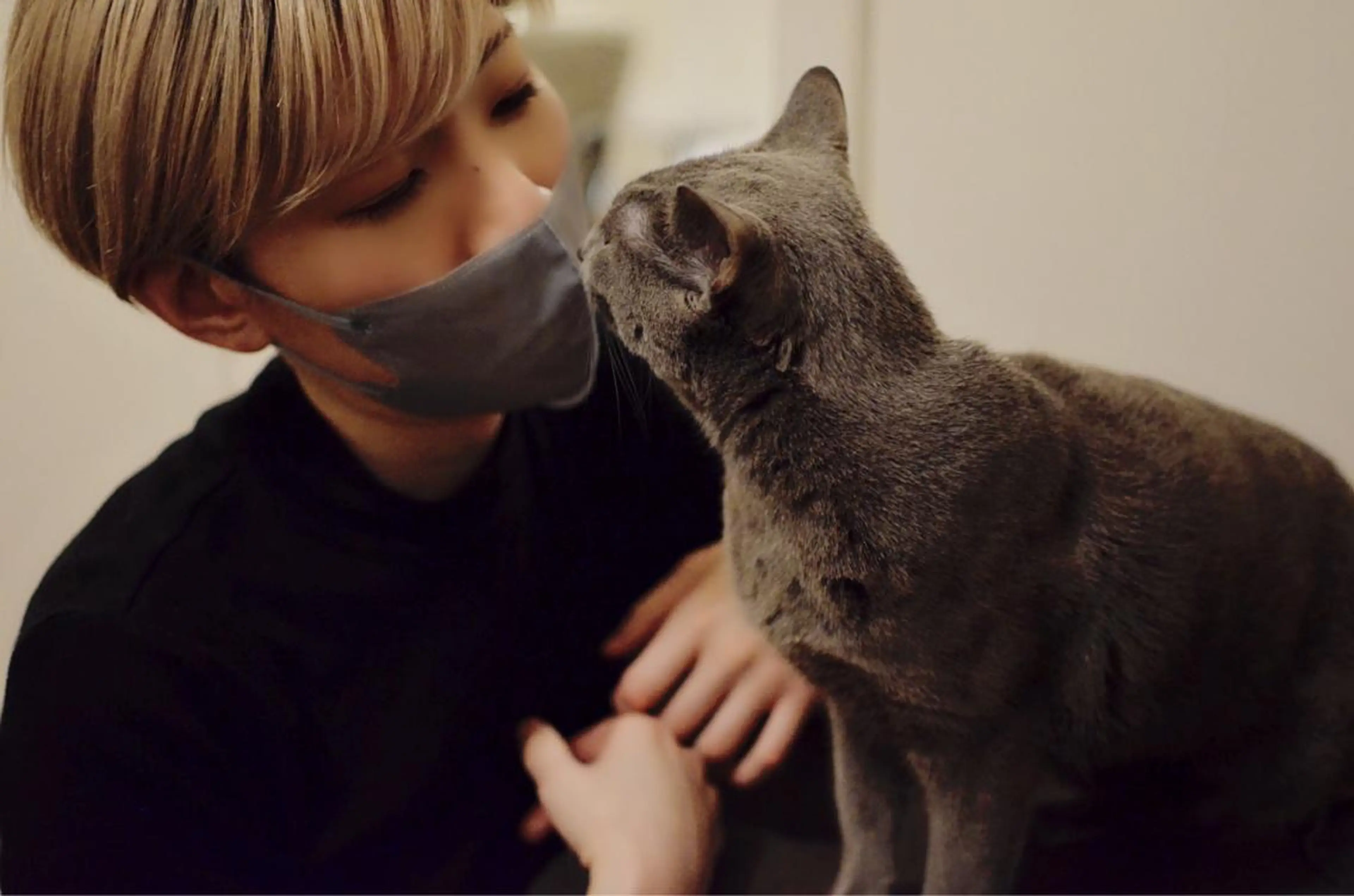 ショート カラー パーマ ヘアアレンジ メンズ キッズ ネイル マツエク・マツパ アイブロウ アニメ,Vオタク× 即効痩せエステサロンのエステ・リラクイメージ