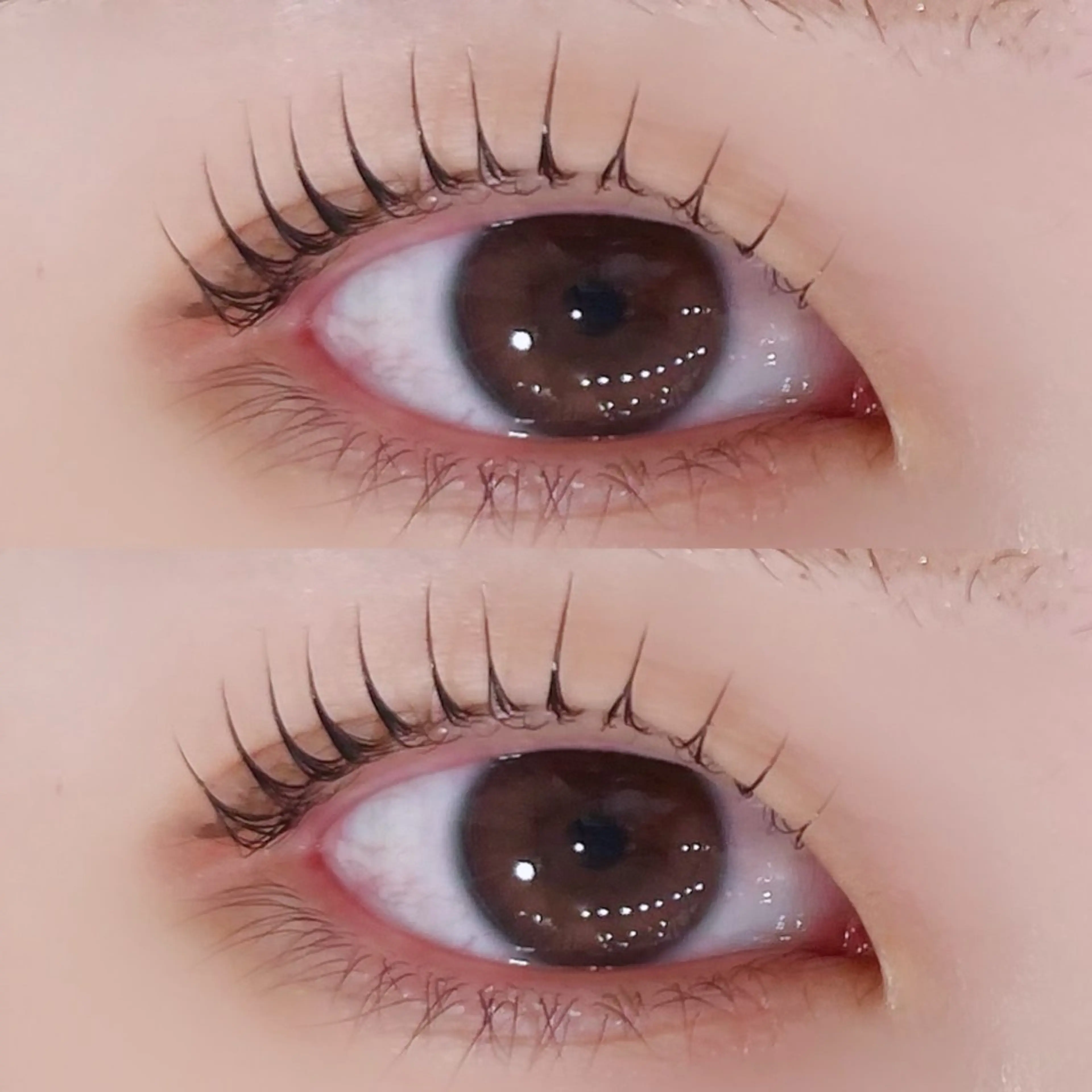 マツエク・マツパ マリーテレジア🩵 OGURAのマツエク・マツパデザイン