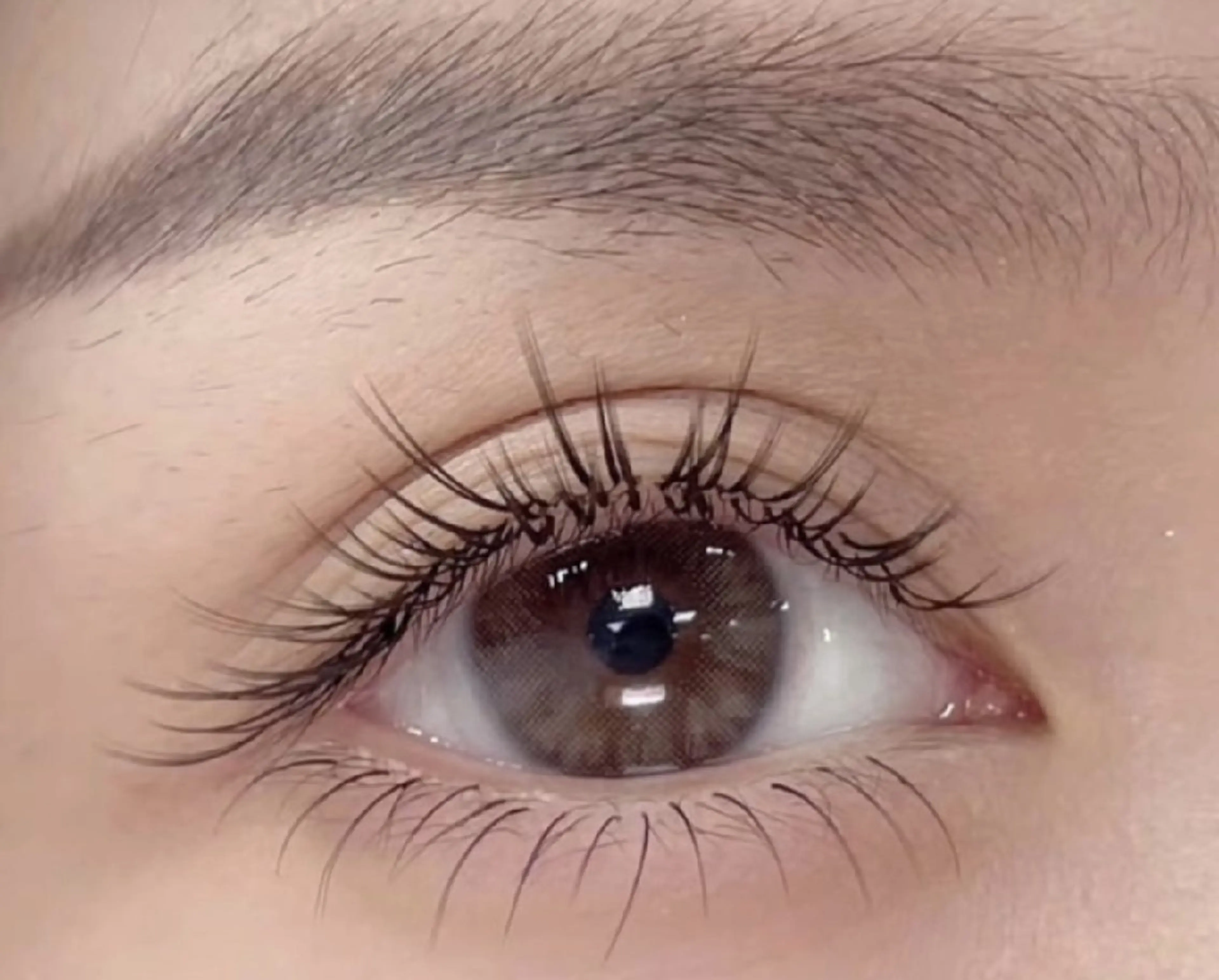 大人気🧚‍♂️ パリエク🧚パリジェンヌ（上まつ毛）+ フラットラッシュ2D(160本）+キープ美容液の写真