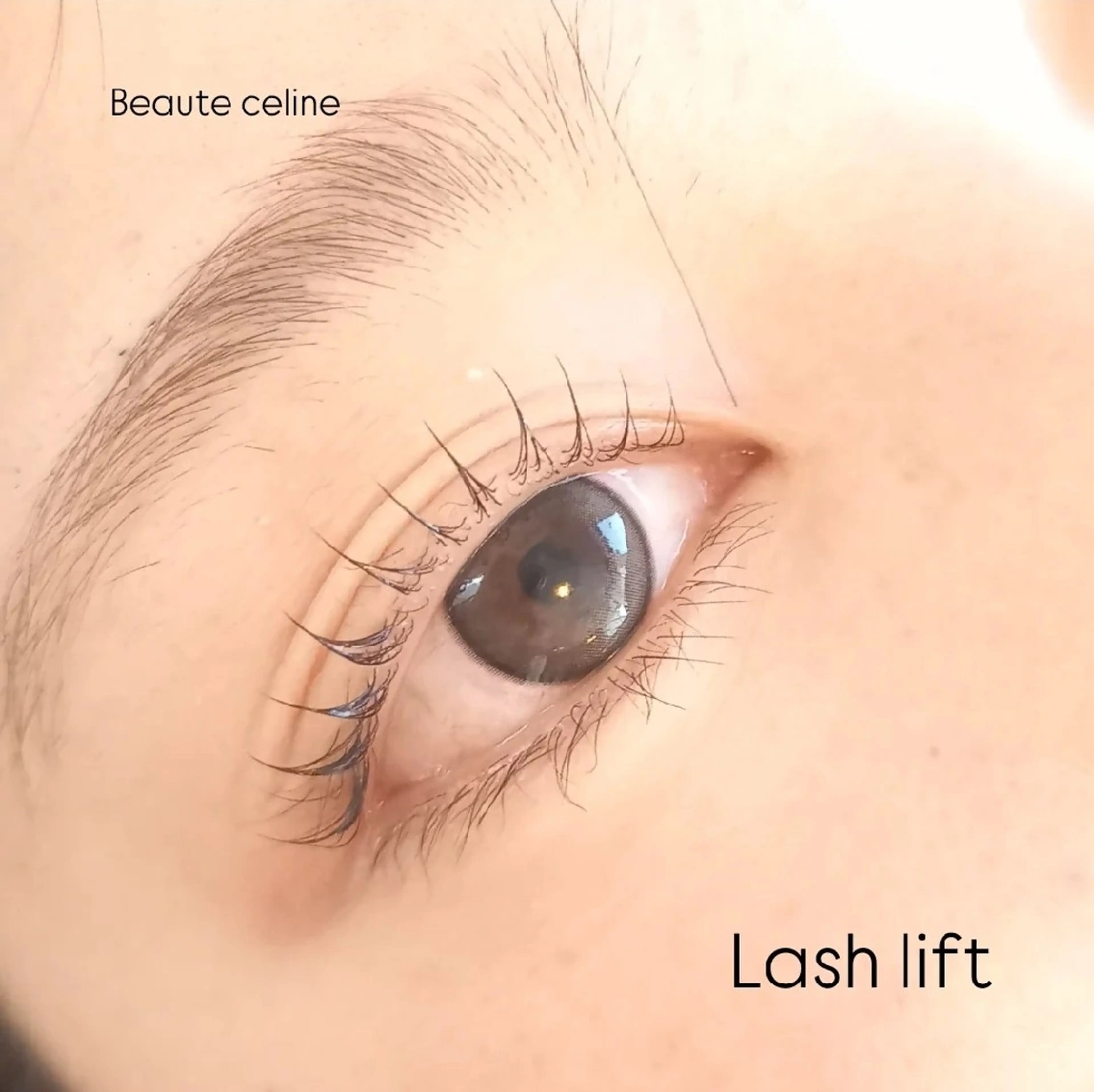 マツエク・マツパ マツパ beaute.celine所属・8時～✨beaute Celine🌛🌹のマツエク・マツパデザイン