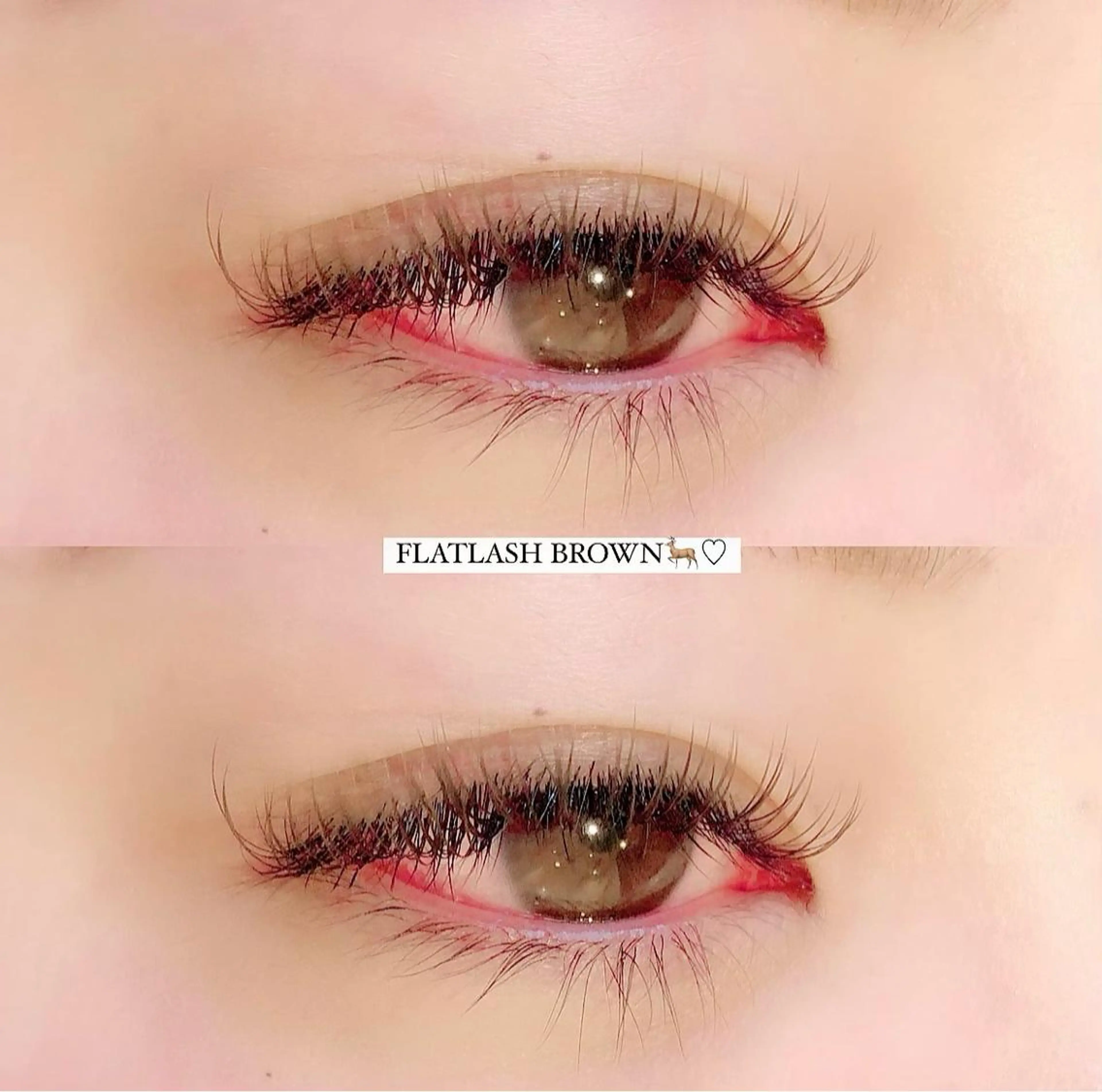 マツエク・マツパ sol bydiar /　riho🌺:)のマツエク・マツパデザイン