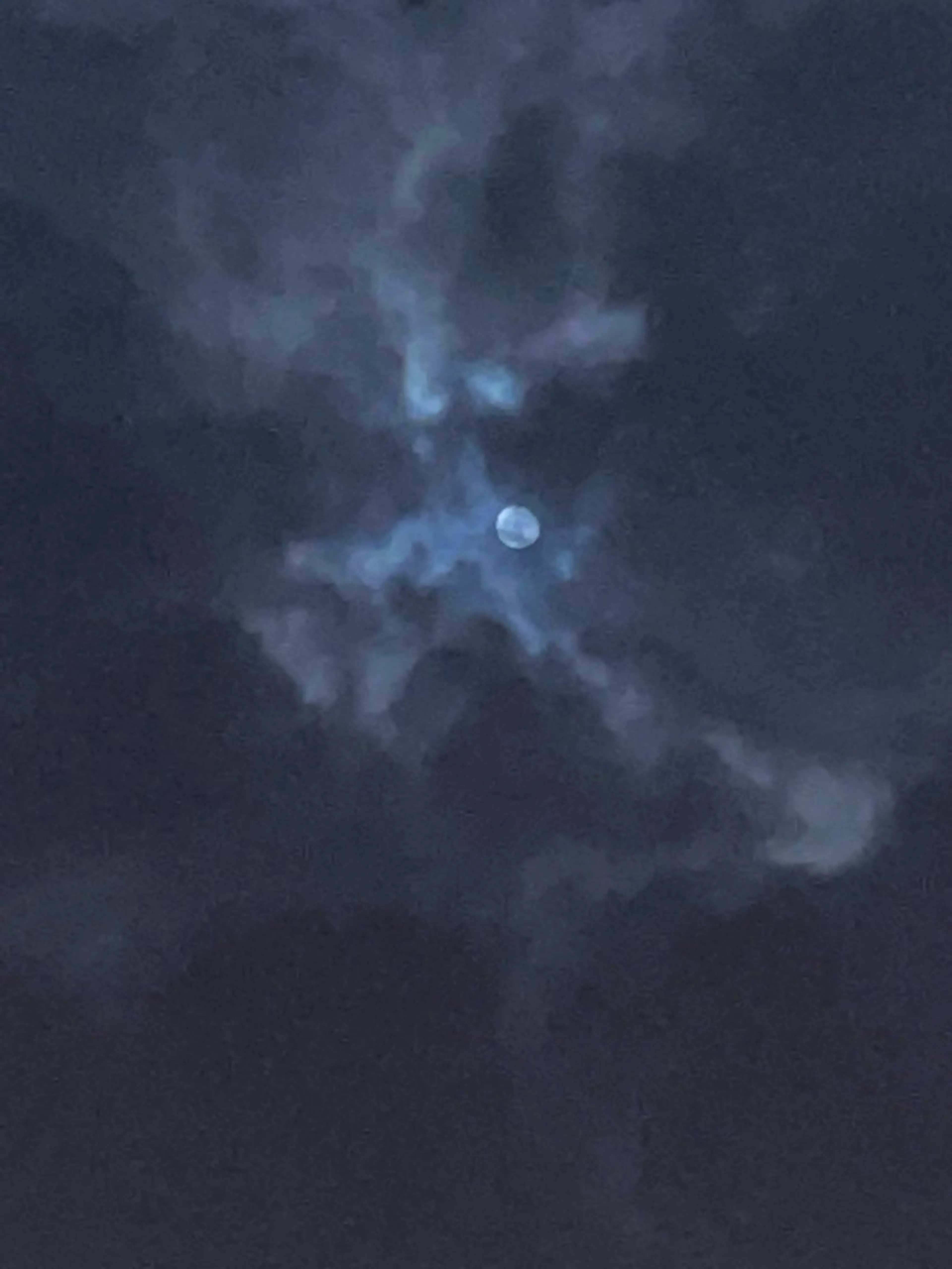 トリートメント ヘッドスパ カラー特化美容師 /雪本☃️のヘアスタイル