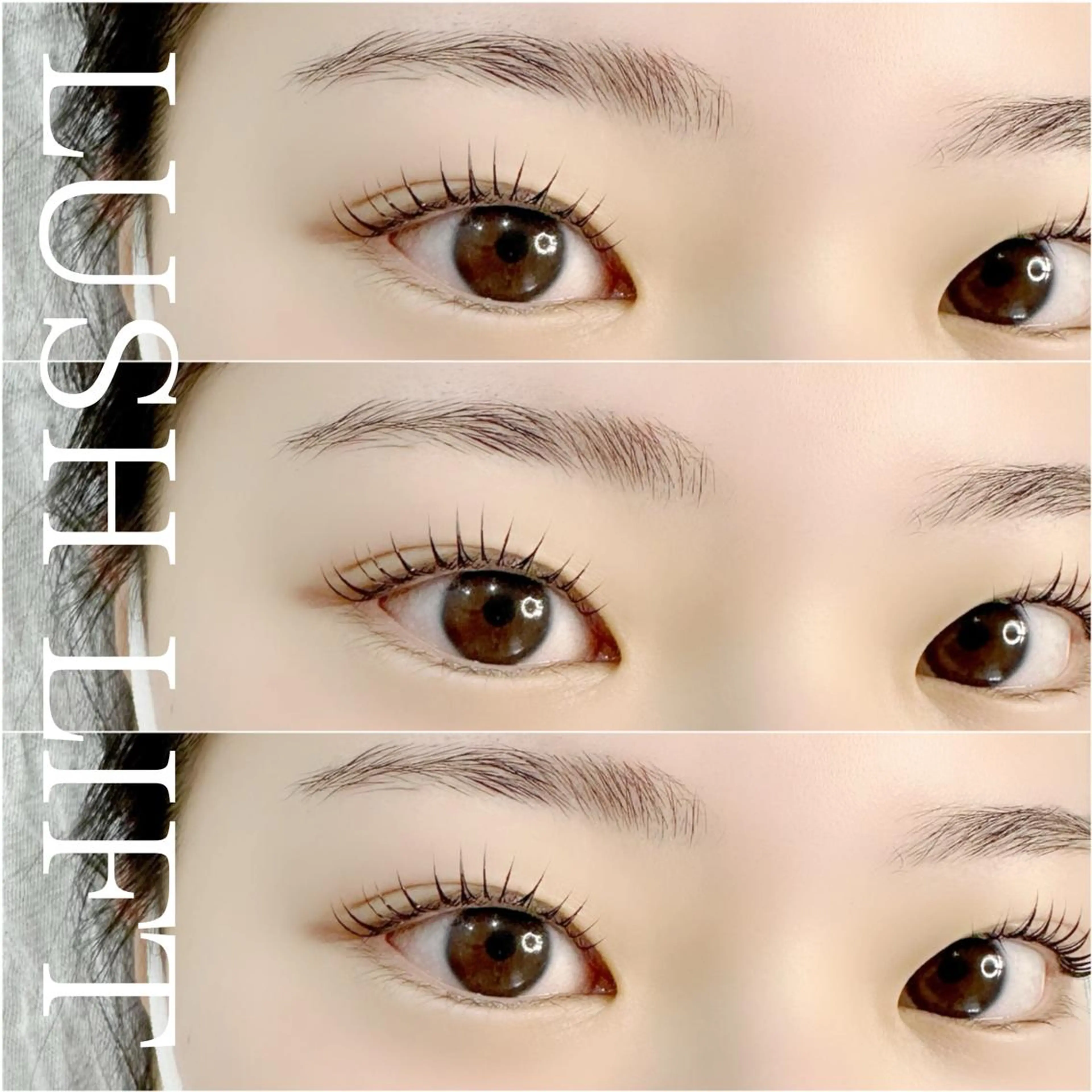 セットがお得🌟まつ毛パーマ×眉WAX🦖【学生1000円引】の写真