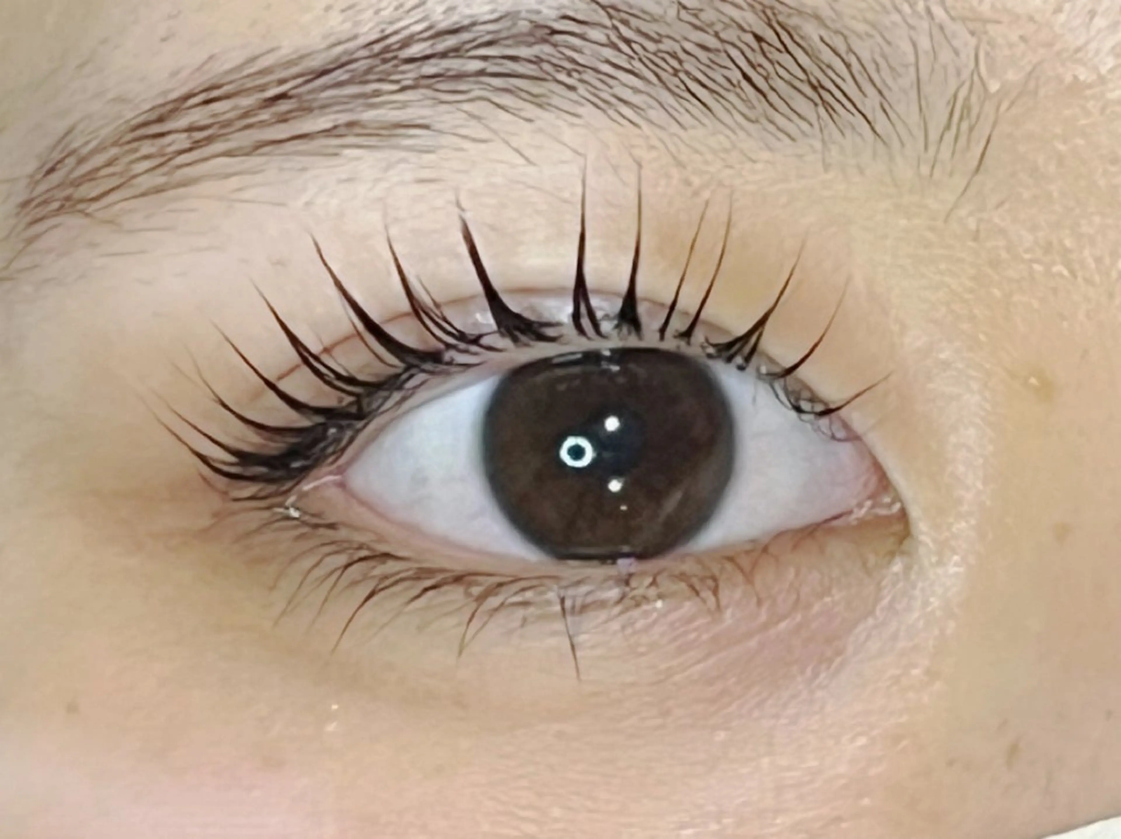 マツエク・マツパ eyelash&nail pourtoi所属・🪽pourtoi momo🩷のマツエク・マツパデザイン