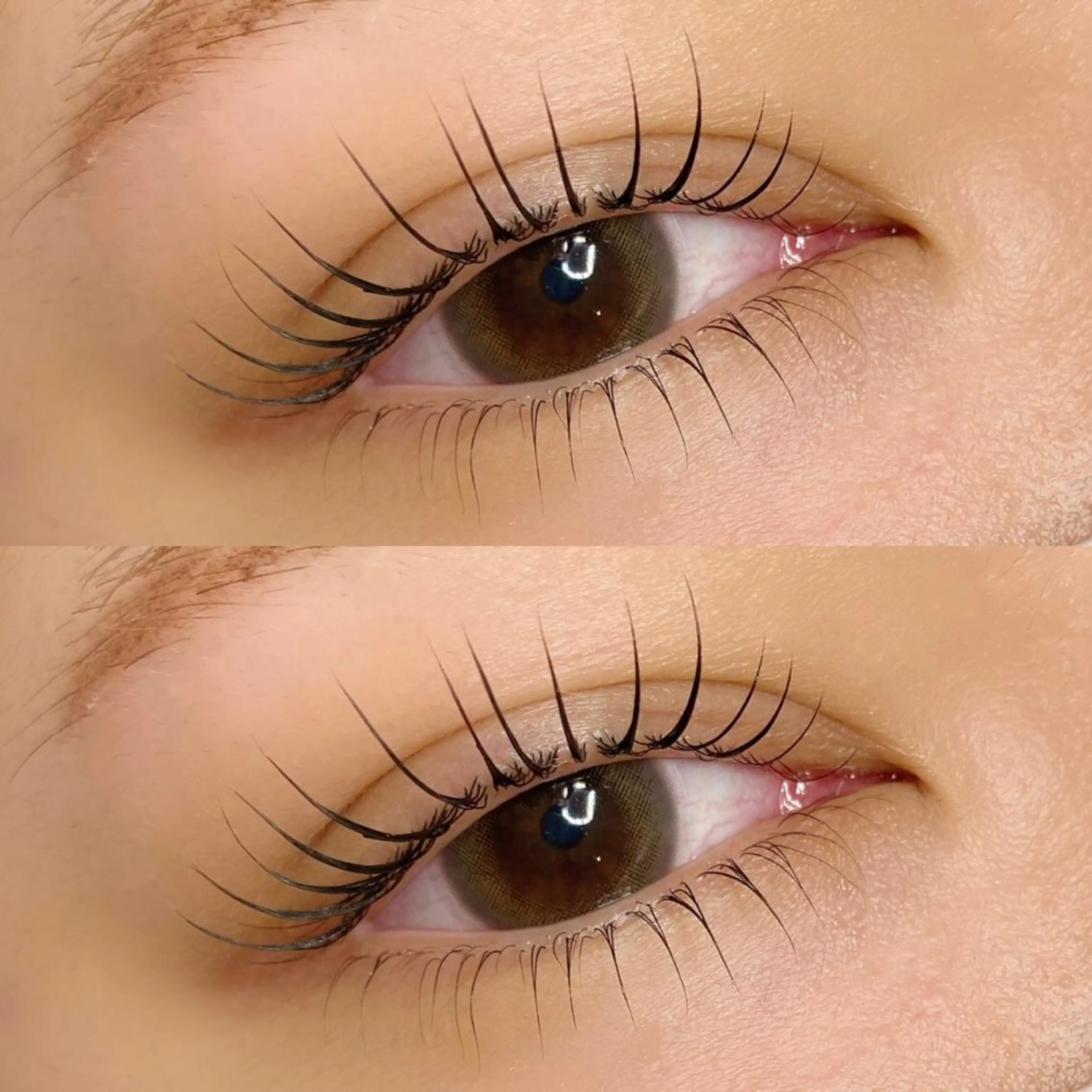 似合わせまつげパーマ（上下）４種TR付きの写真