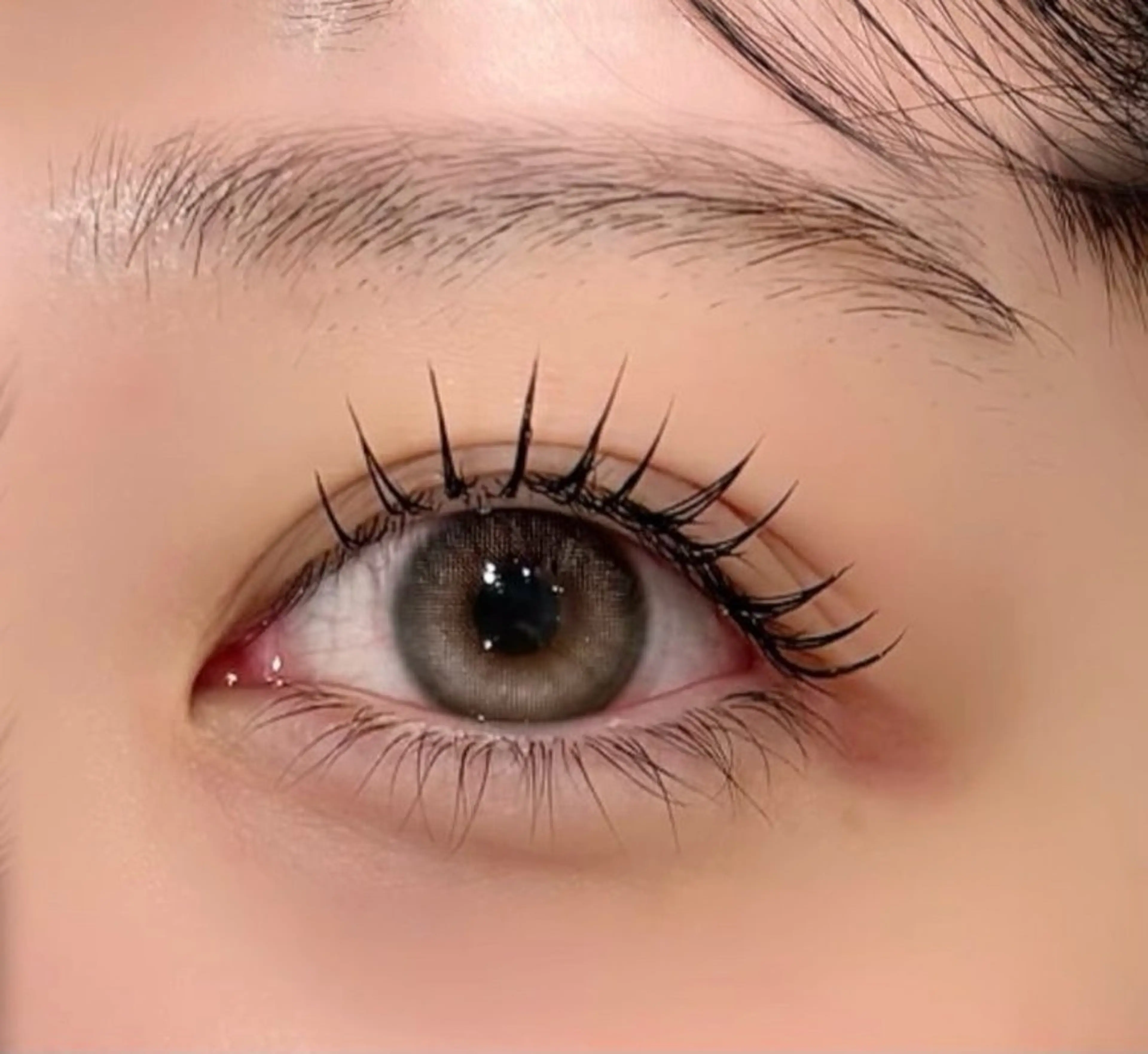 新規限定 マツエク100本🩷の写真