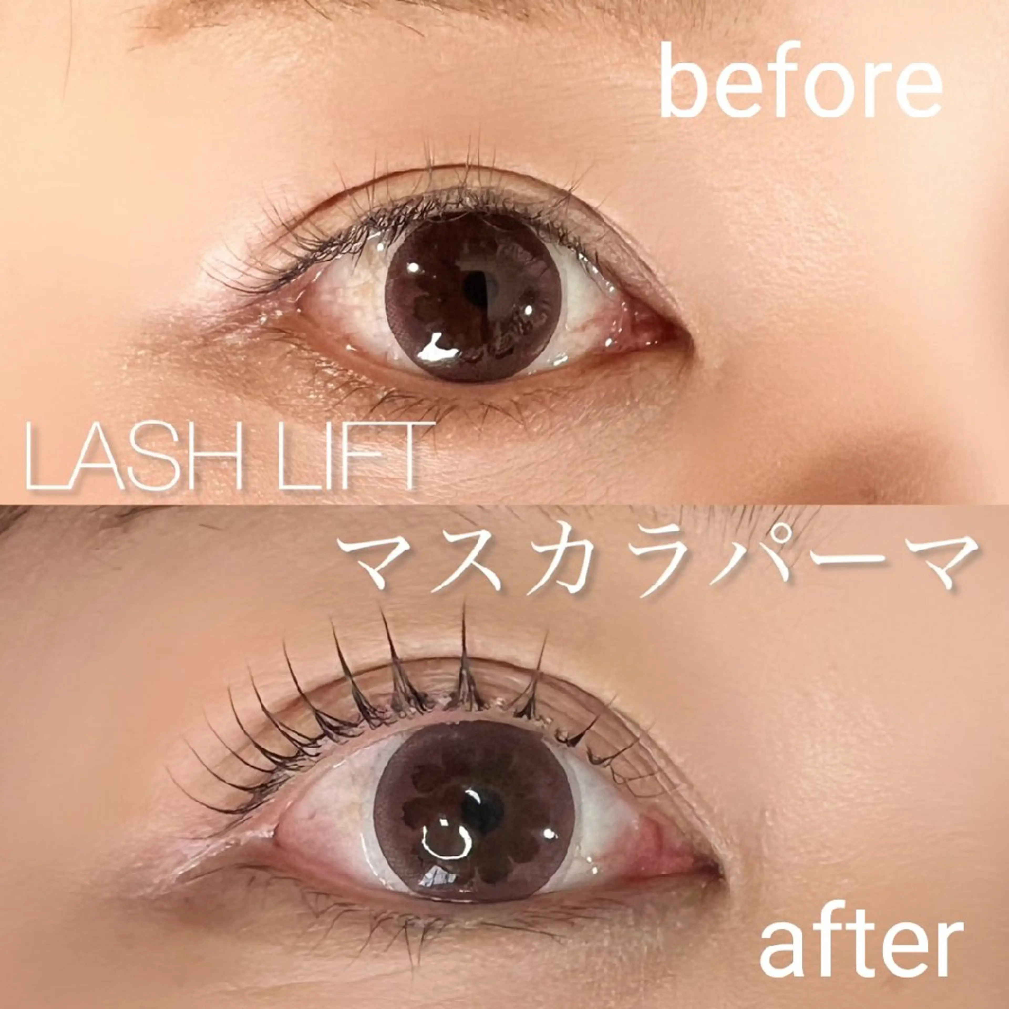 ♥話題!!今大人気のマスカラパーマ♥ラッシュリフト×マスカラパーマ【アイシャンプー＆トリートメント込】の写真