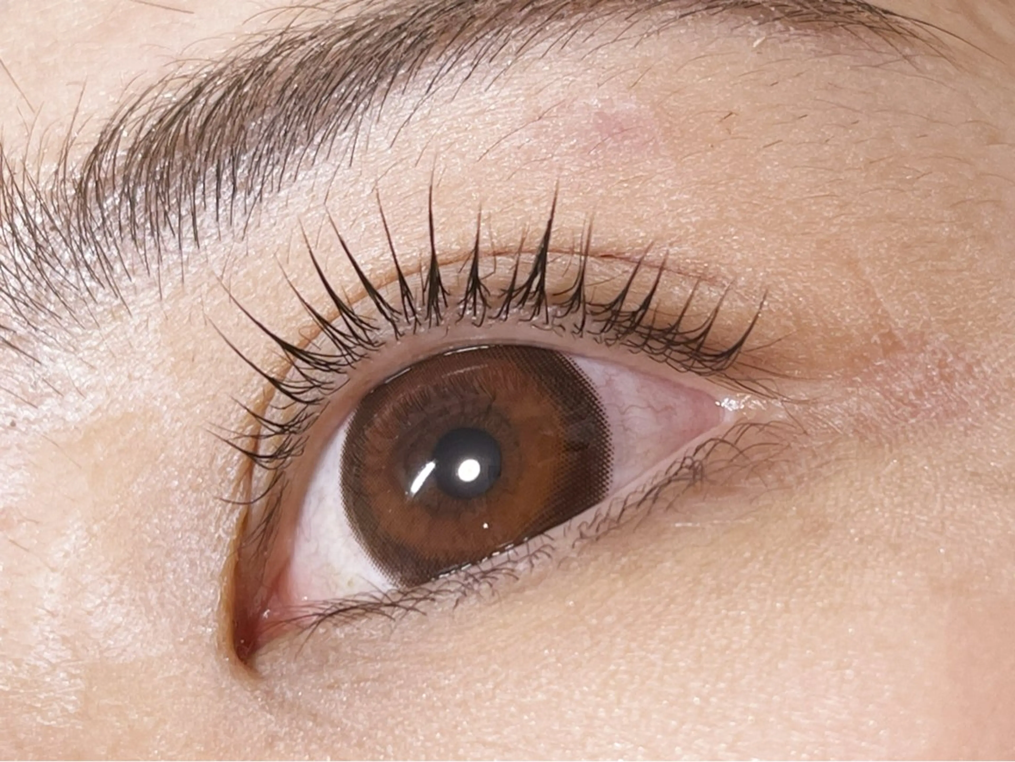 パリジェンヌ/ラッシュリフトの写真