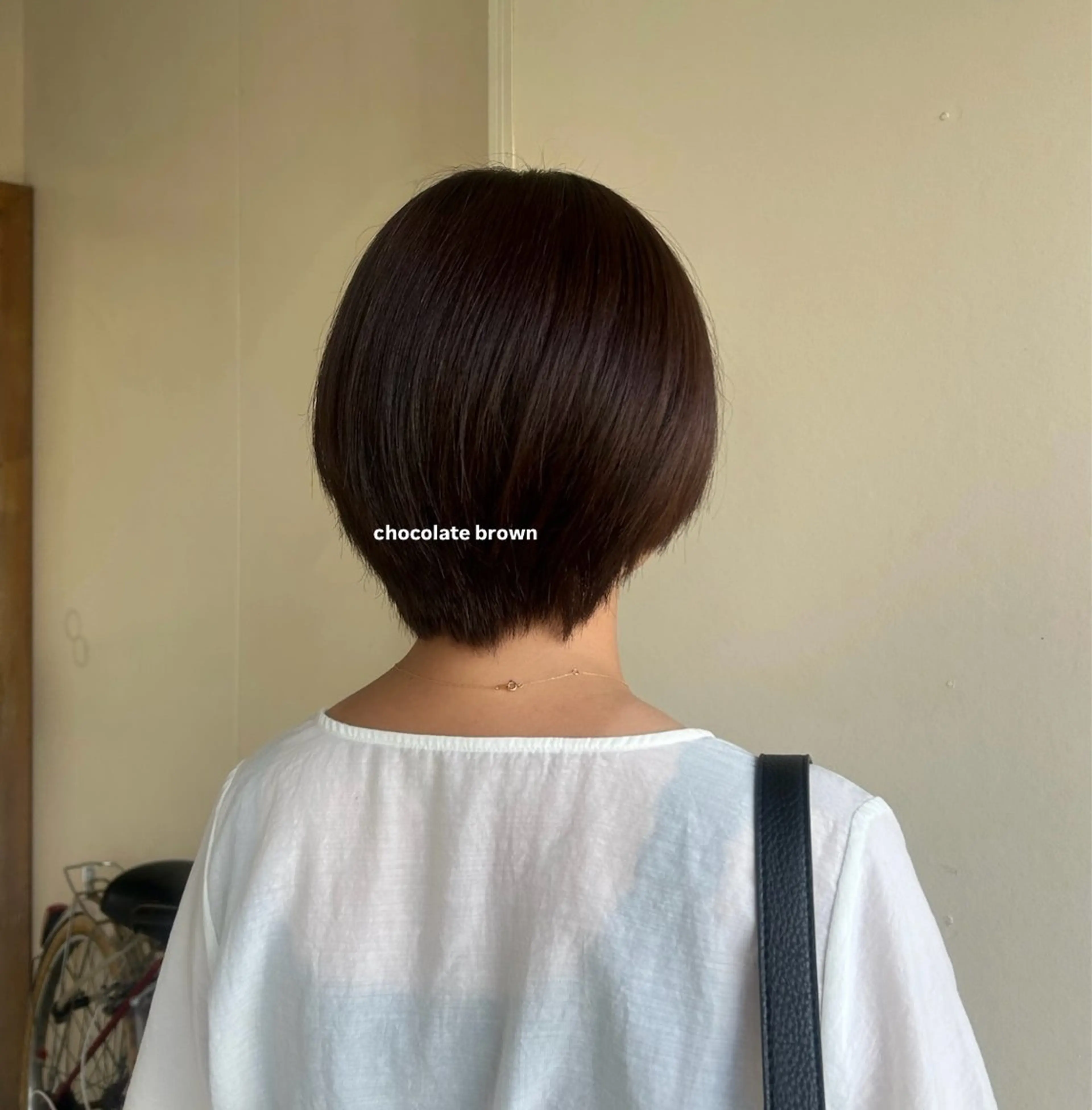 ショート カラー カシェリタ🌛 ハルナのヘアスタイル