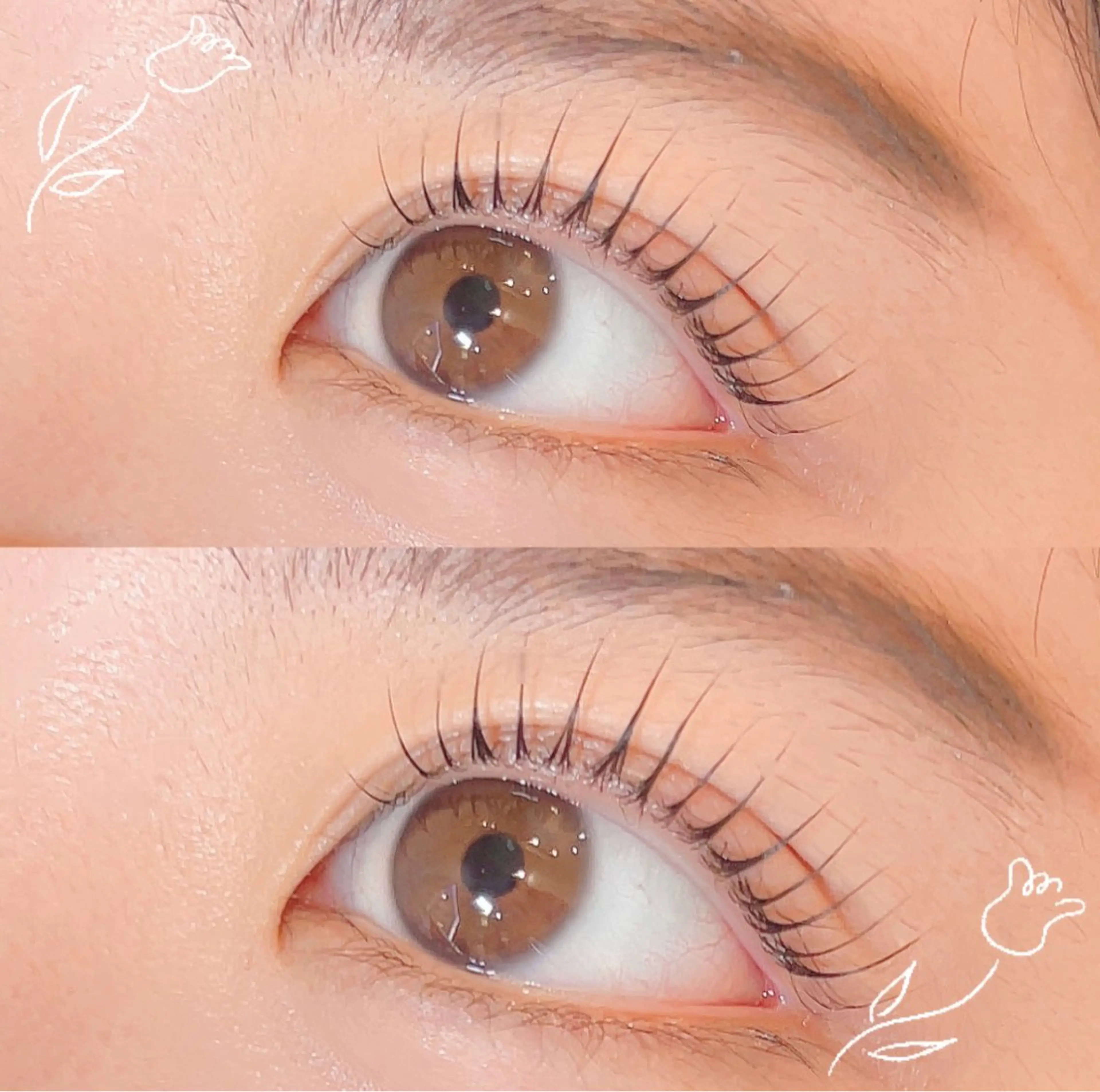 マツエク・マツパ パリジェンヌラッシュリフト 🕊MaazLash 4🕊️のマツエク・マツパデザイン