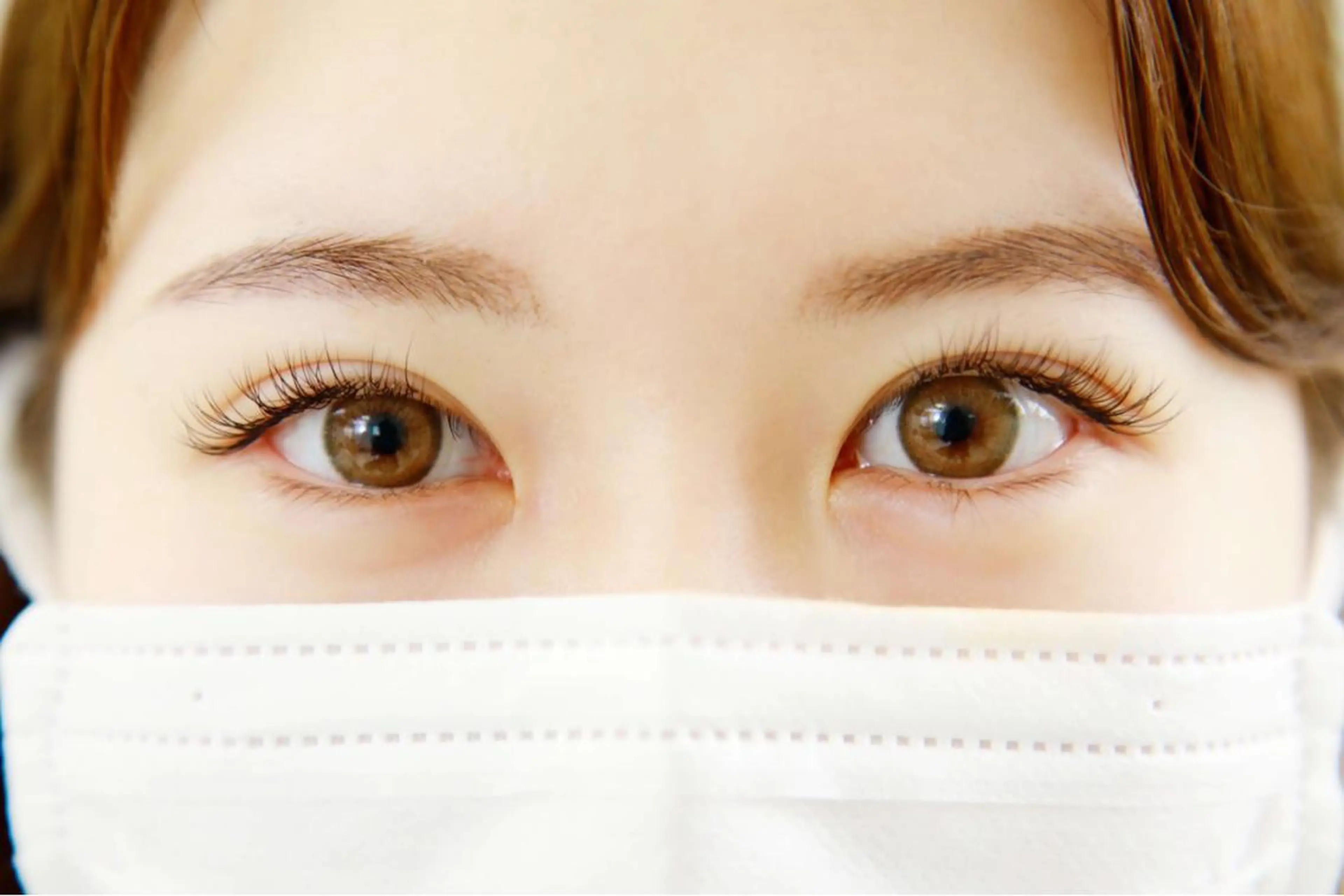 最高級セーブルエクステ120本の写真