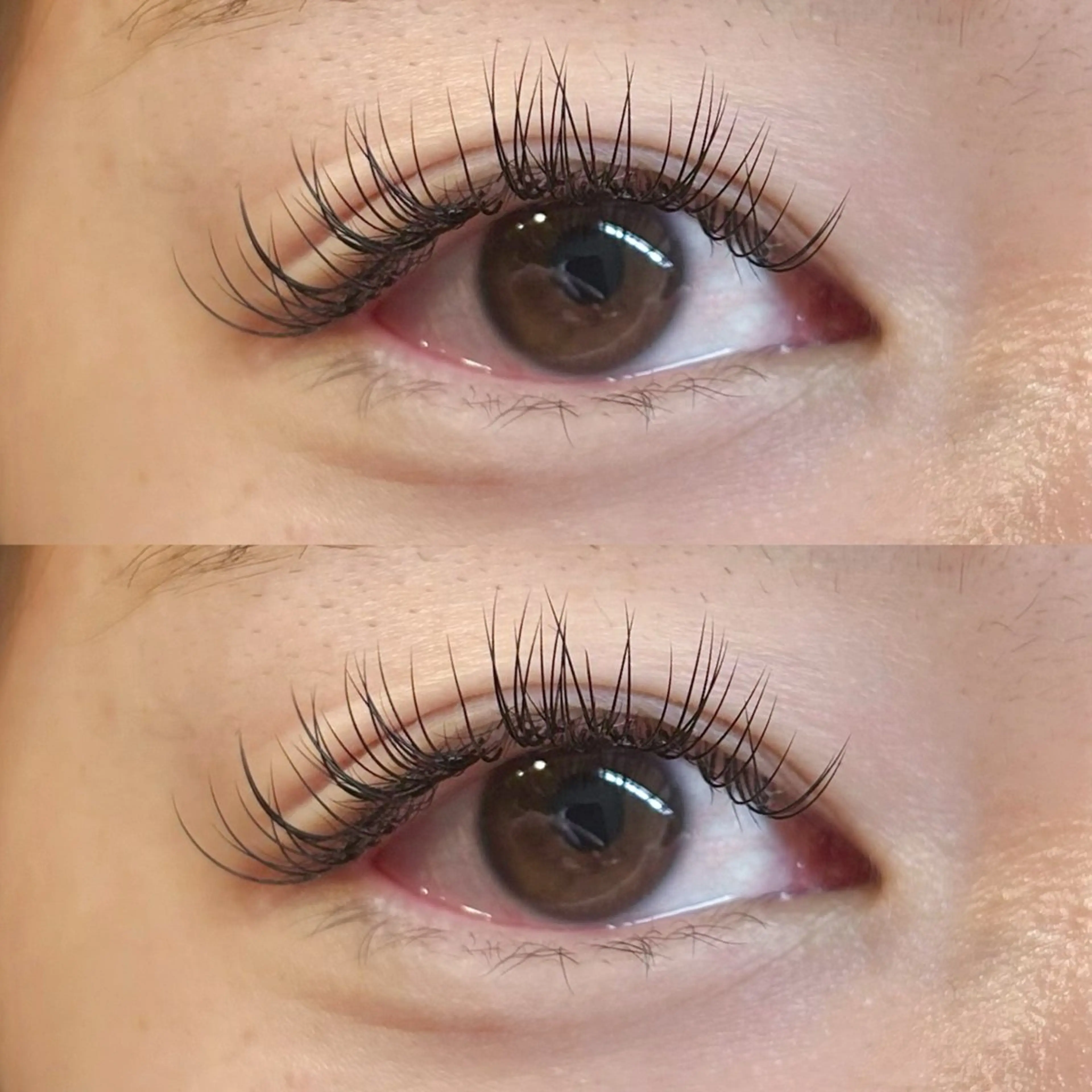 マツエク・マツパ マツエク Rise 🎀のマツエク・マツパデザイン