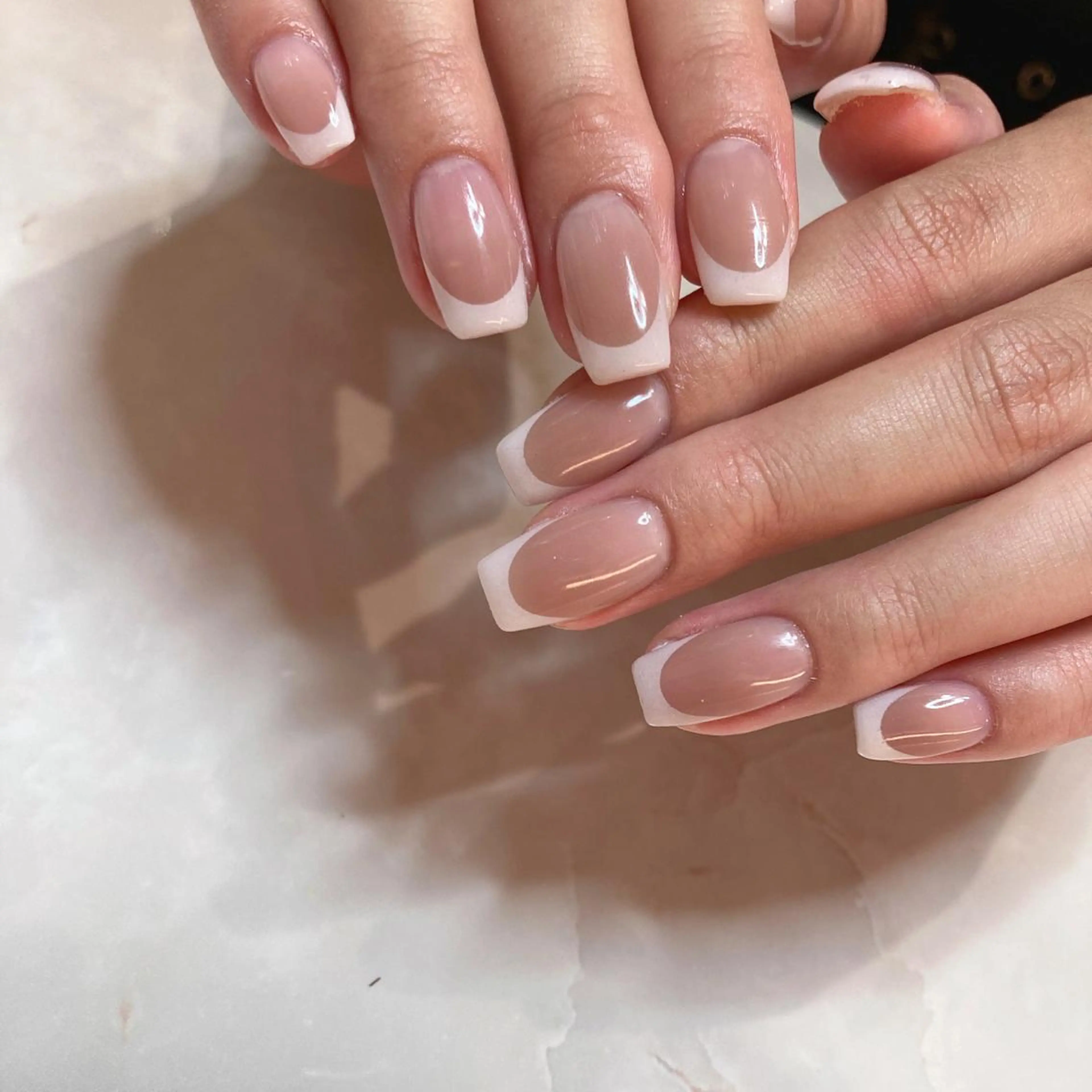 フレンチの写真