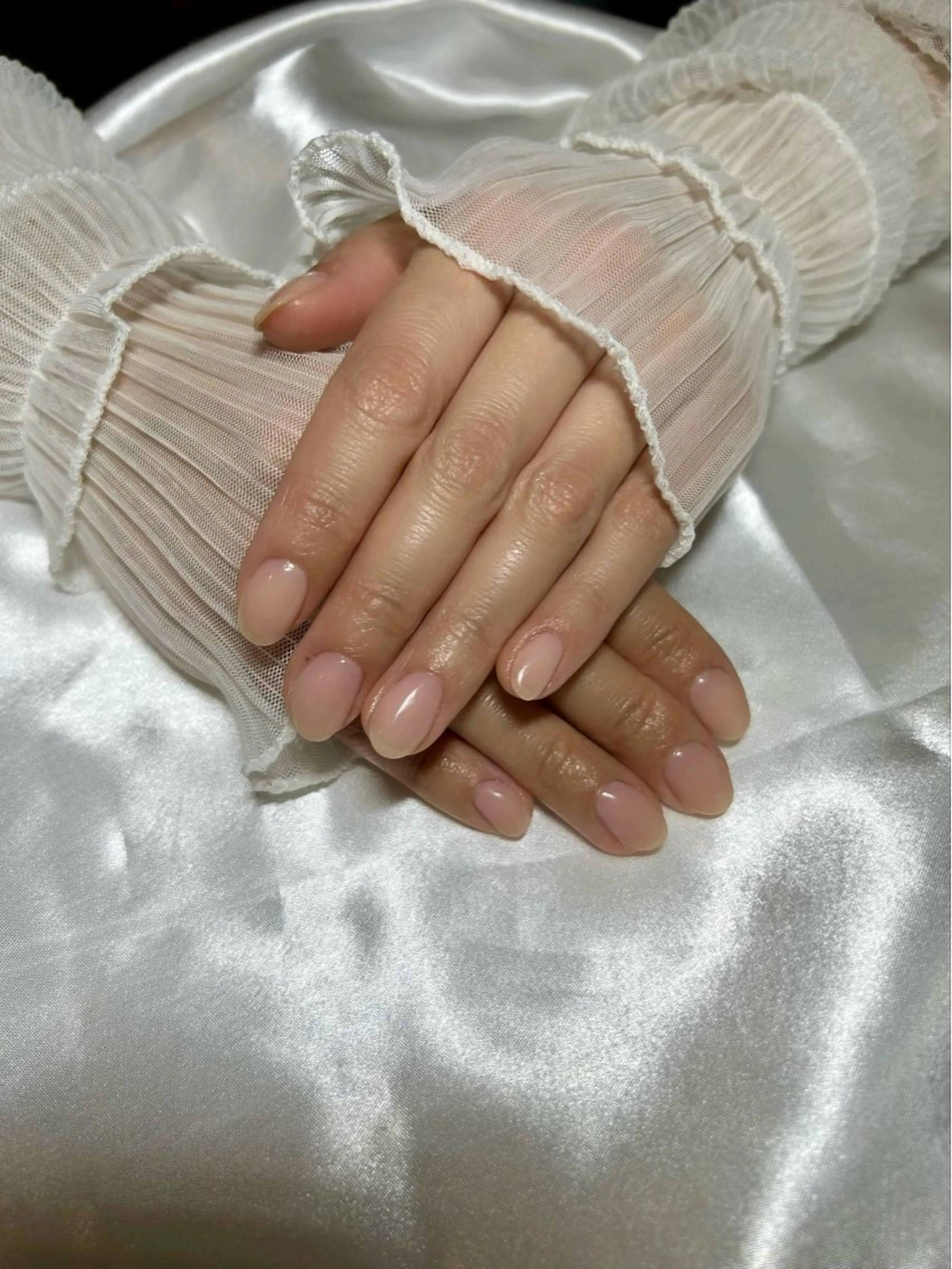 ワンカラーの写真