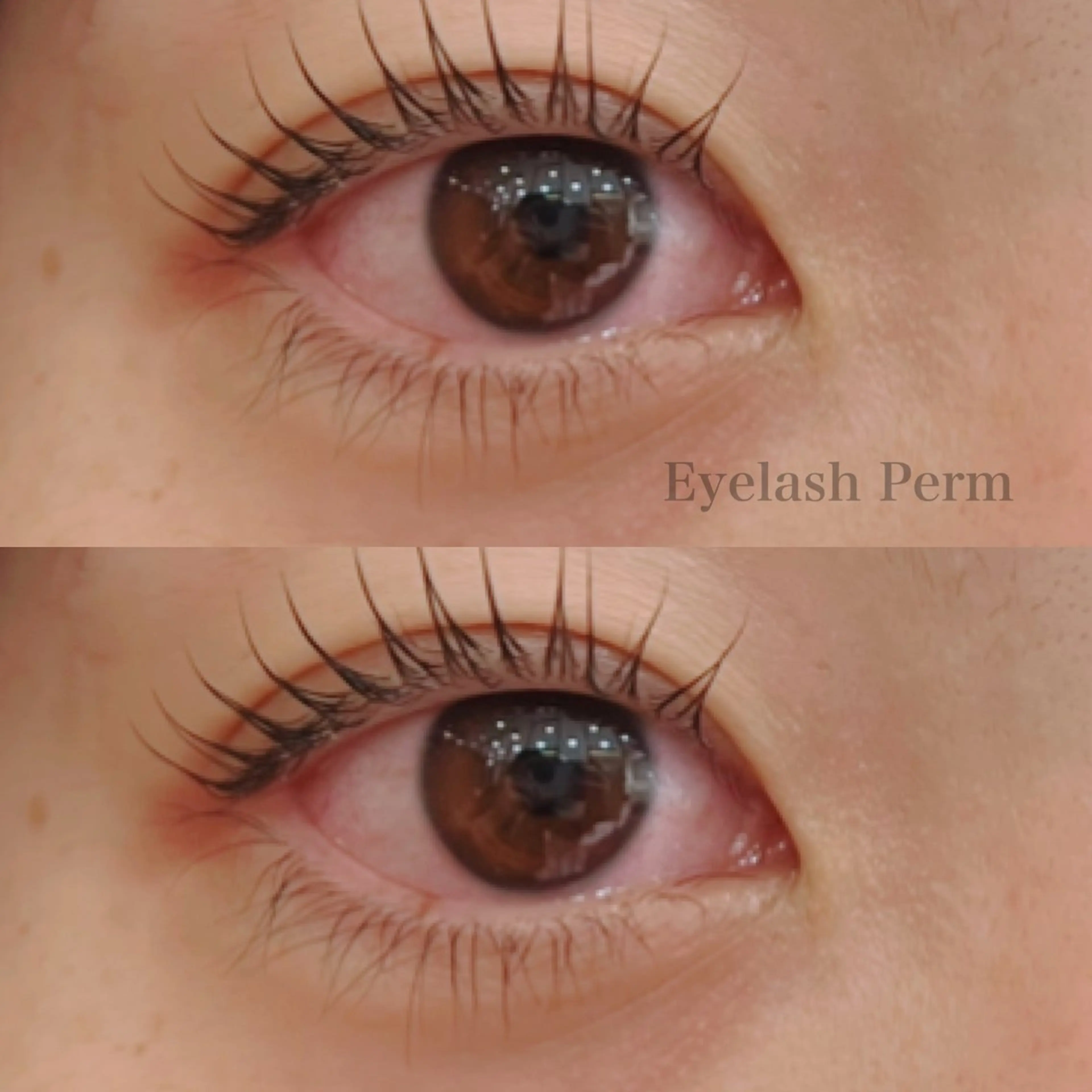 マツエク・マツパ 🦋中川 未来🦋のヘアスタイル