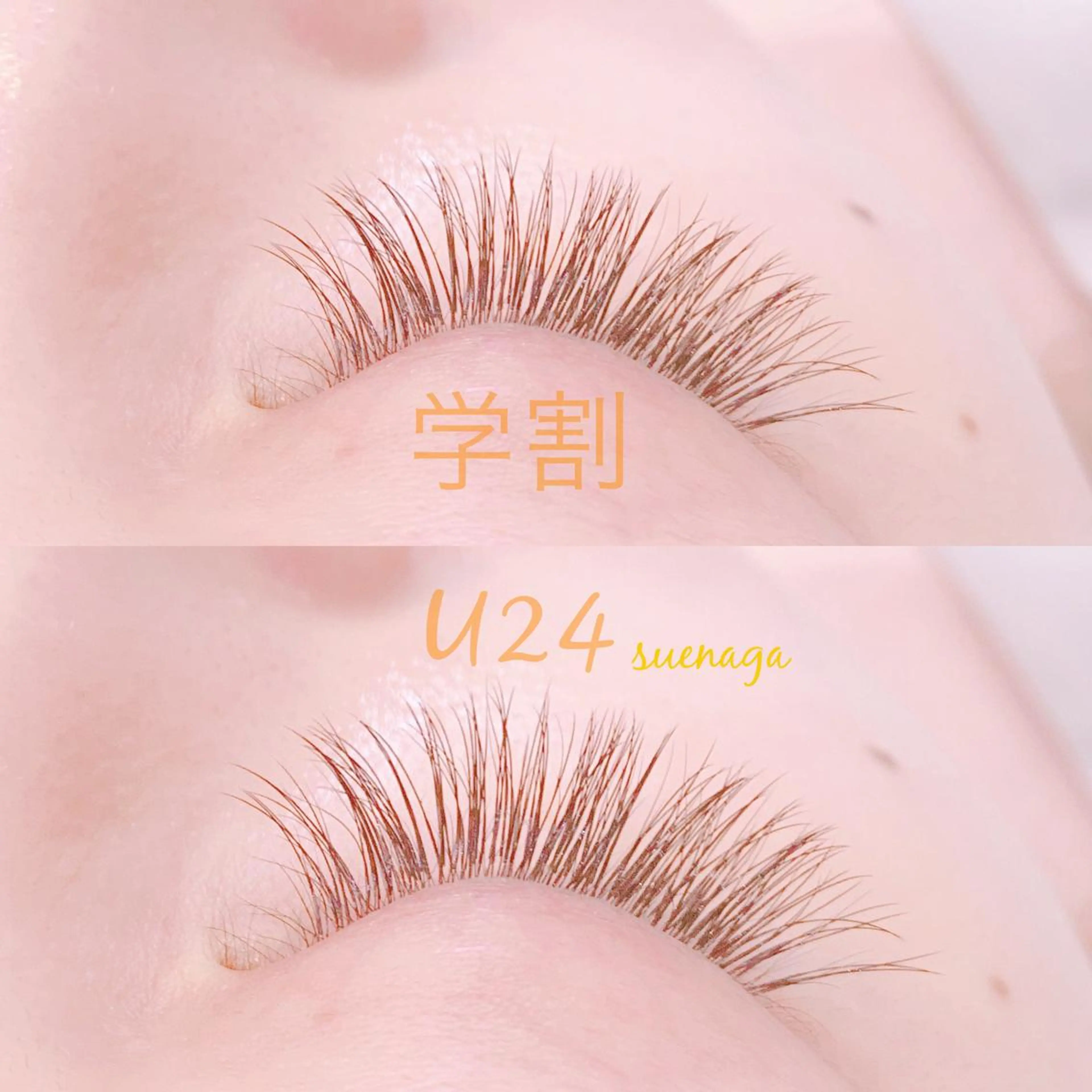 平日限定【学生さん応援クーポン】120本🌷5000えんの写真