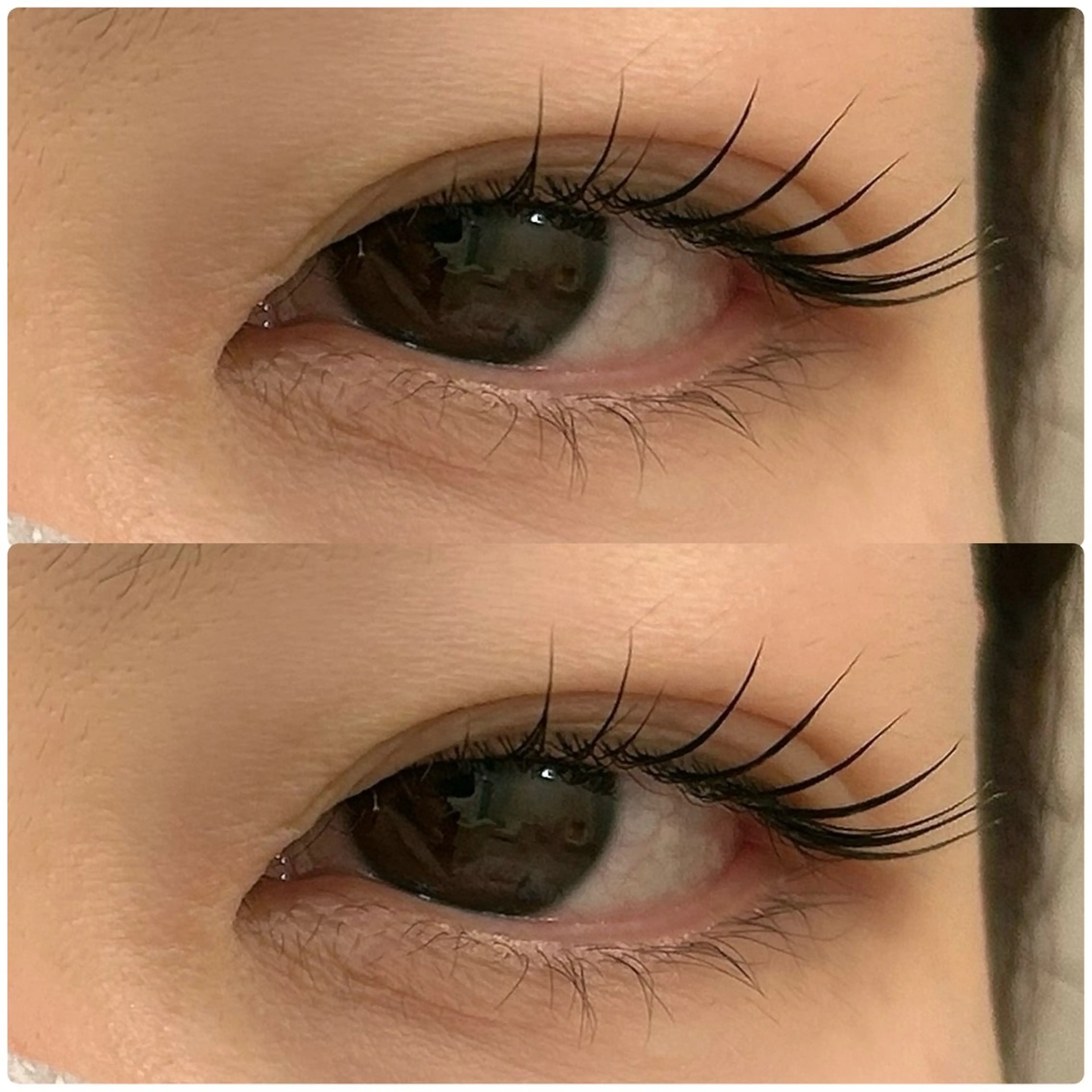 マツエク・マツパ マツパ まつげ&アイブロウ専門店Rino名古屋栄店所属・Rino Yuzuhaのその他イメージ