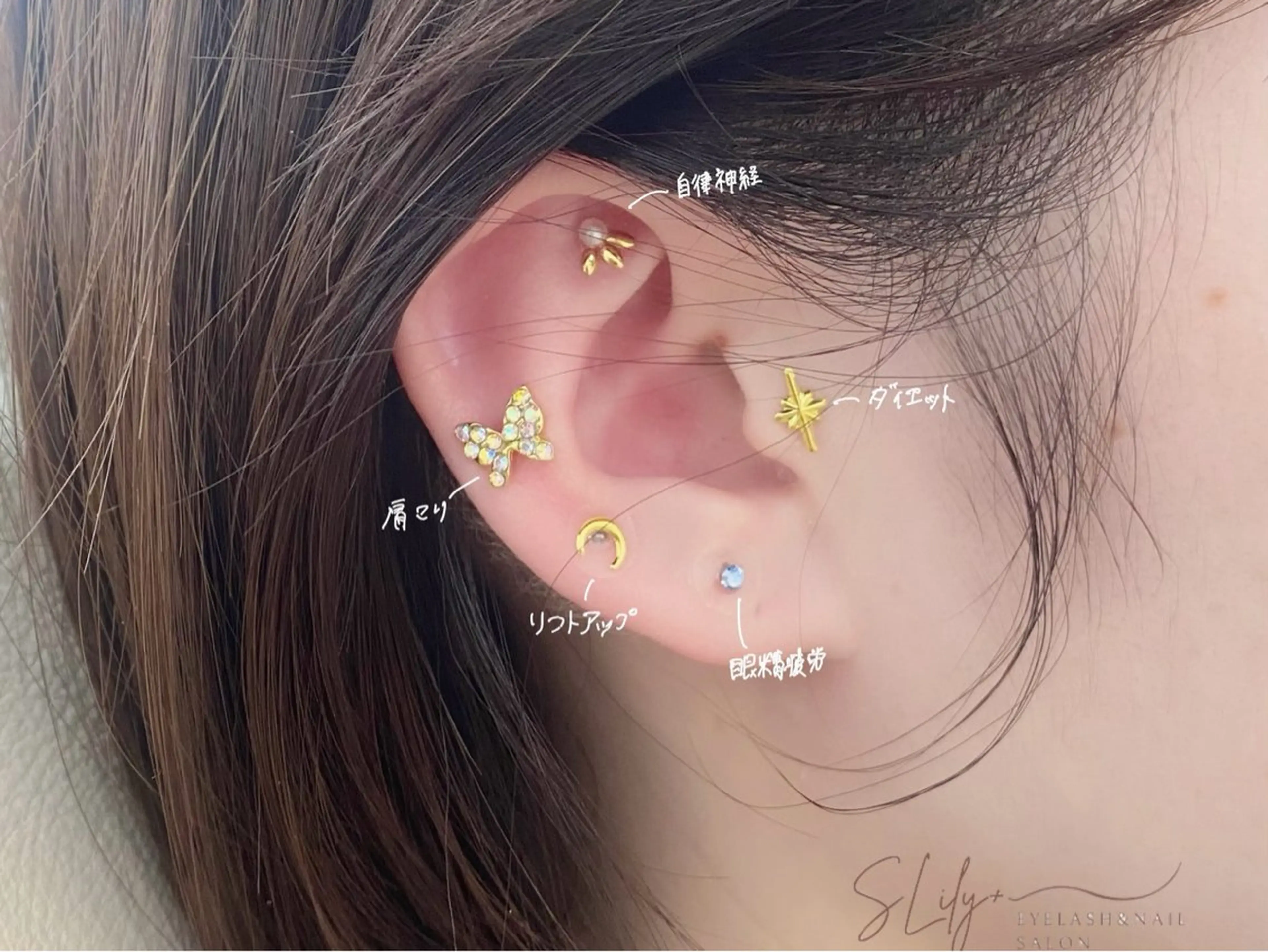 その他 SLily + 眉毛/耳ツボの眉毛・アイブロウイメージ