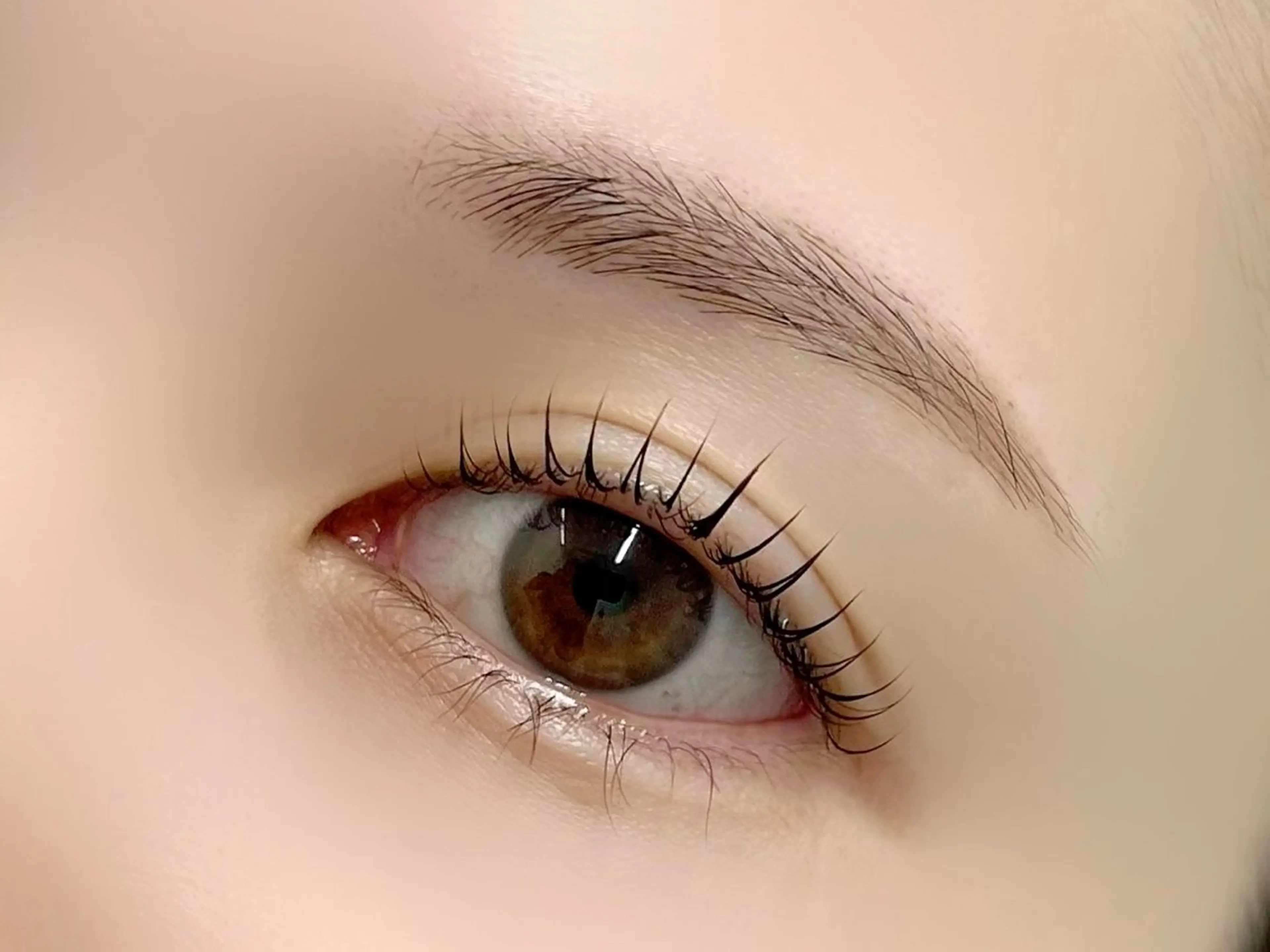 12月限定【まつげパーマ×ラッシュアディクト1本】の写真