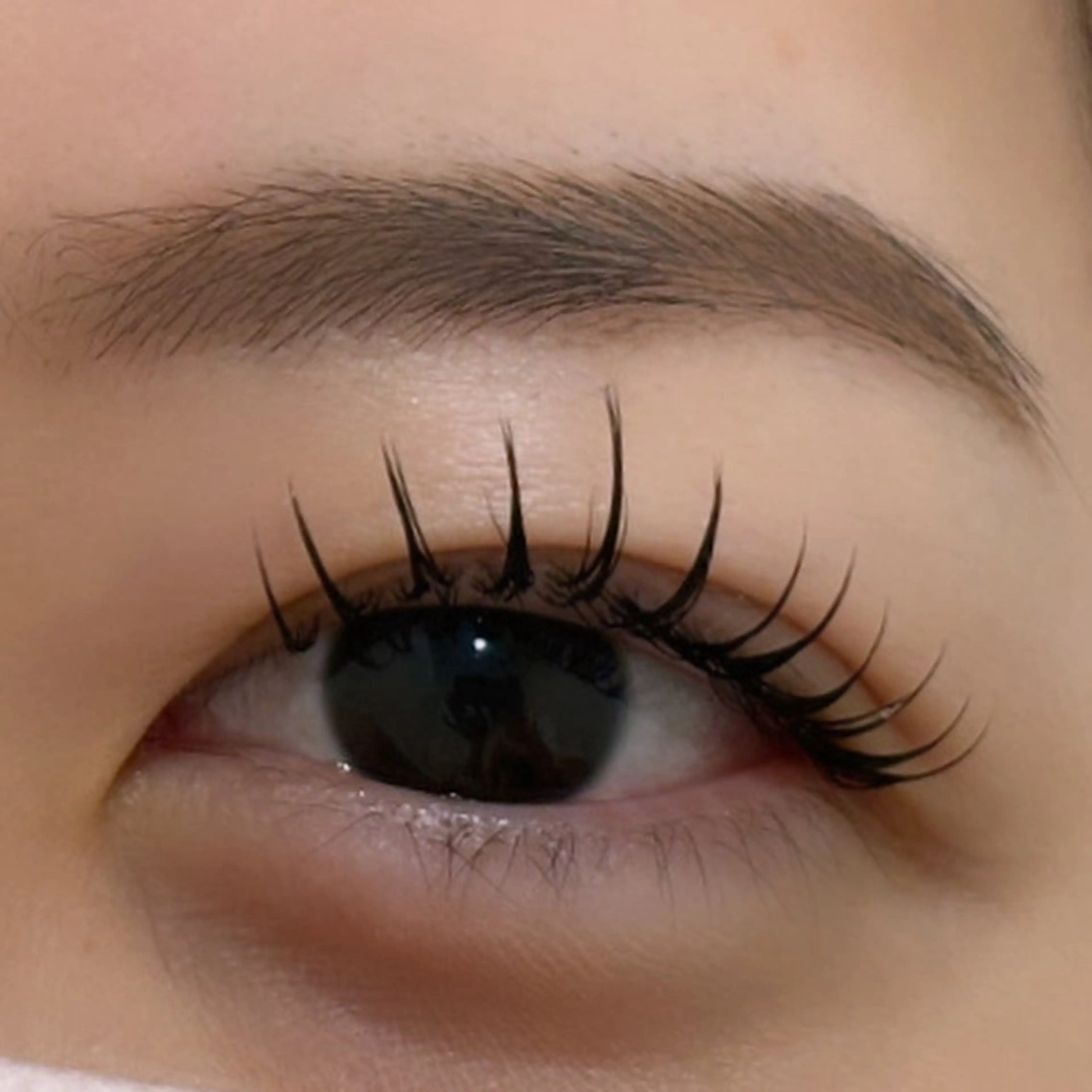 【超お得セット】美眉デザインWAX×似合わせラッシュリフト(パリジェンヌ可能)💫💫の写真