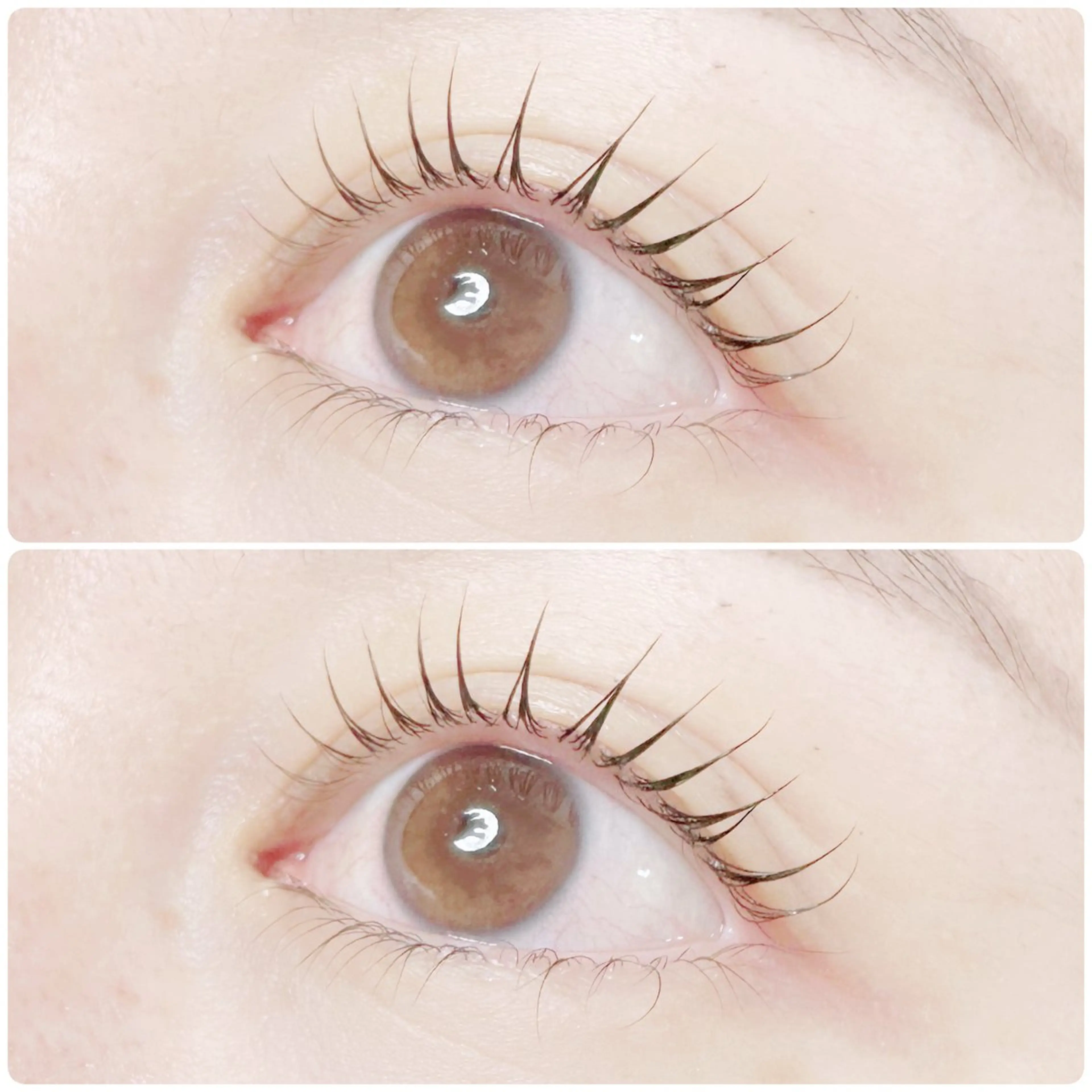 マツエク・マツパ plume eyelashのマツエク・マツパデザイン