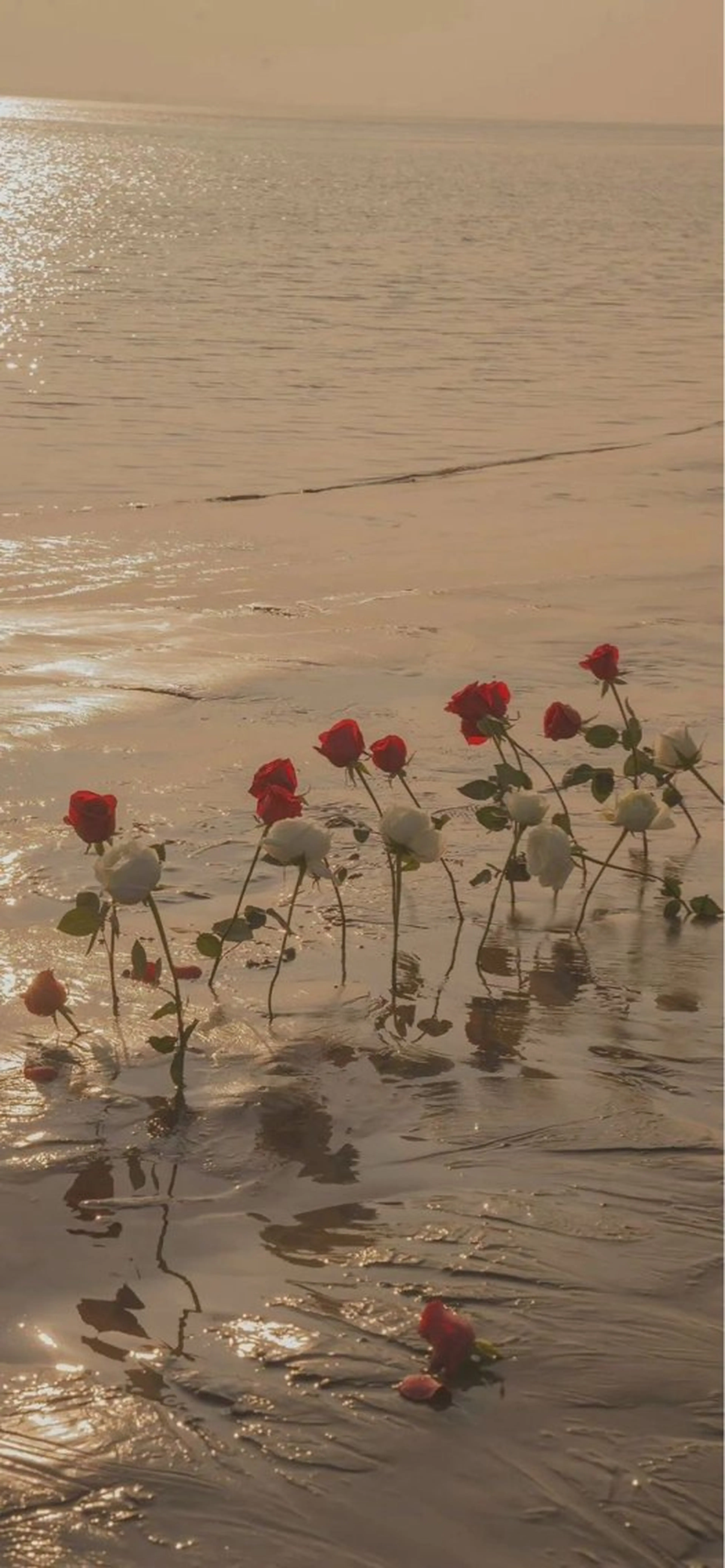 Iwasaki Nene☾店長のマツエク・マツパデザイン