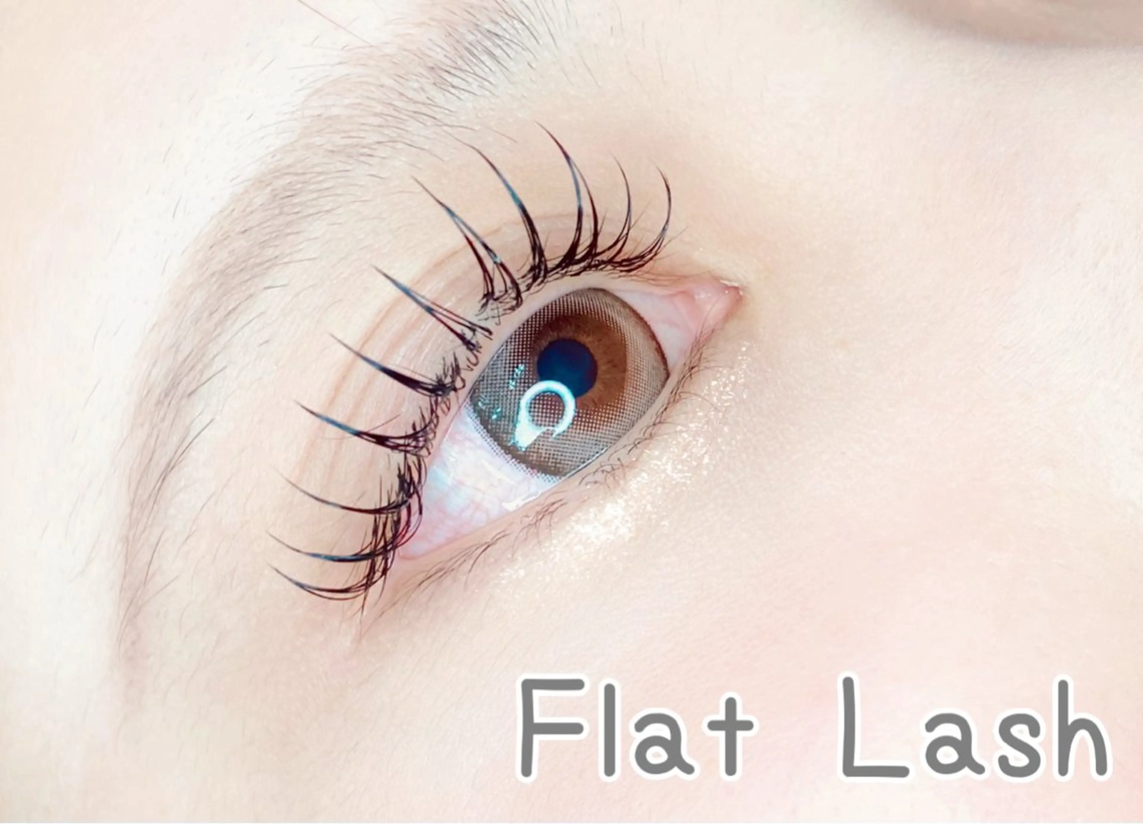 《ご新規様平日限定》モチが自慢！フラットラッシュ100本✨モチupのコーティング付き！土日祝日+500円の写真