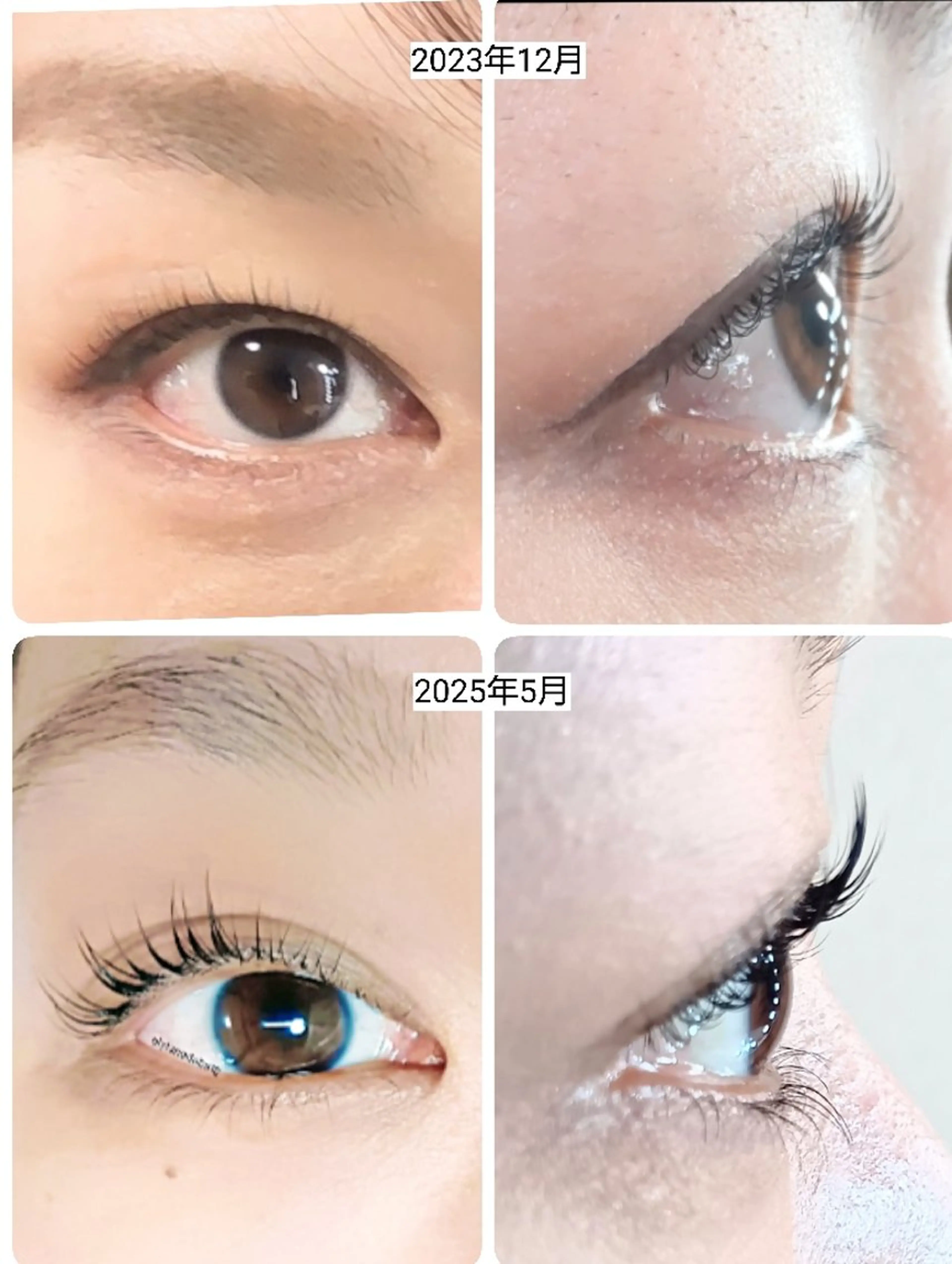 マツエク・マツパ マツパ 🎼グラデーション スタイル札幌♫*✧のマツエク・マツパデザイン