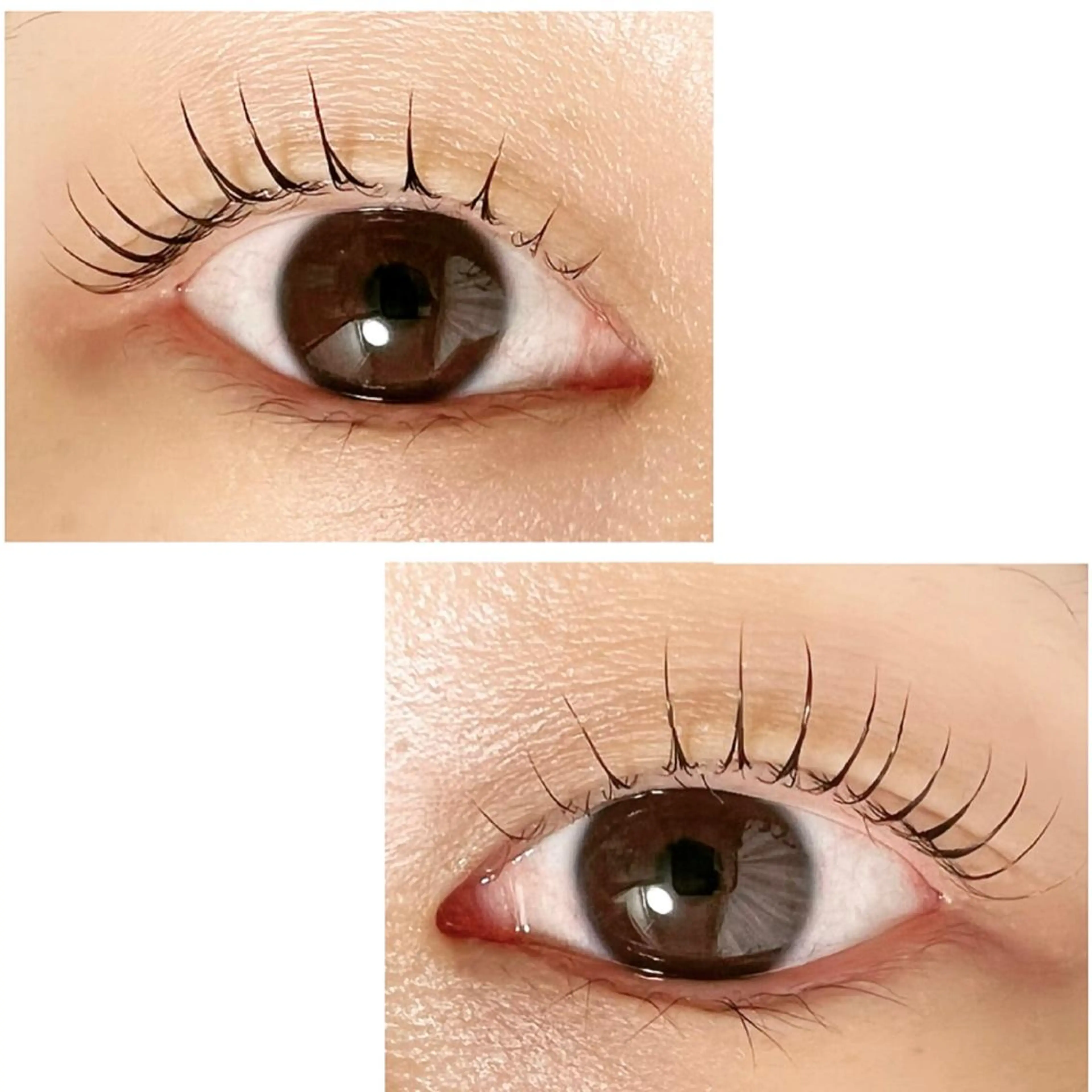 マツエク・マツパ Adorer(アドレ)所属・Adorer 🍀アドレ🍀のマツエク・マツパデザイン