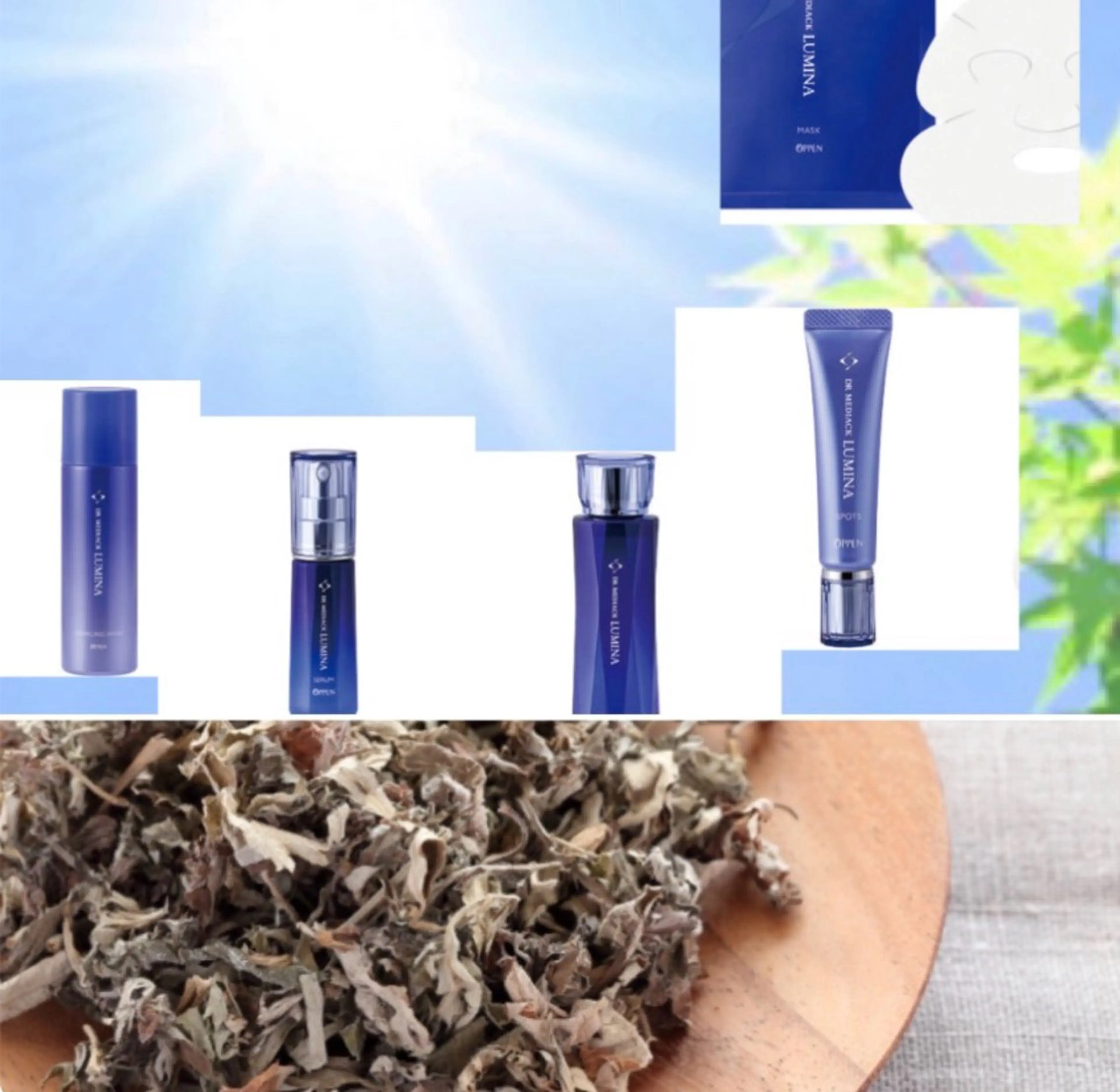 【美巡り よもぎ蒸し＆ルミナ 透明感リセット】よもぎ蒸し(40分)＋新商品美白ブランドを全5種使用したフェイシャルの写真