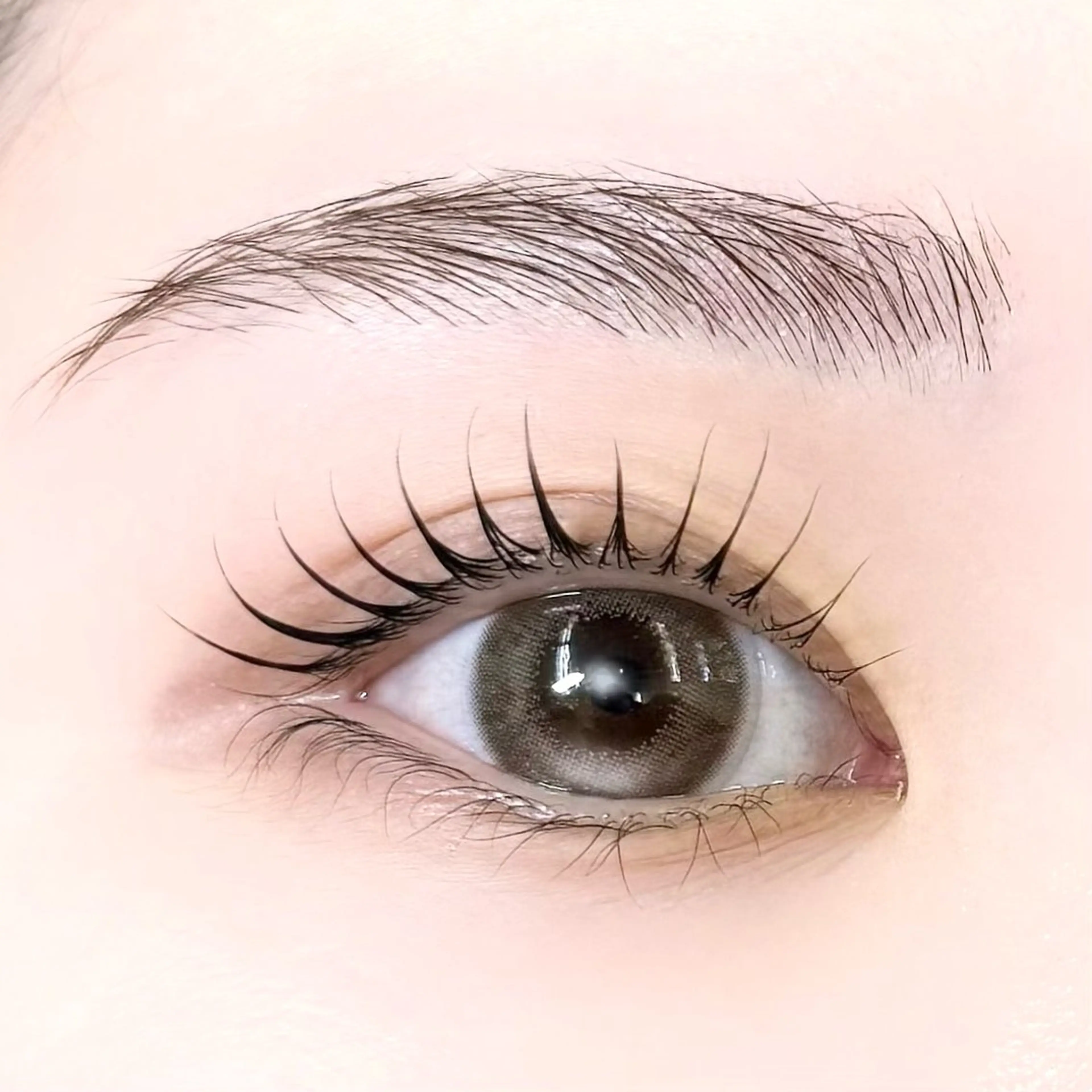 マツエク・マツパ まつげパーマ 束感まつげ/ shiimaꪔ̤̮のマツエク・マツパデザイン