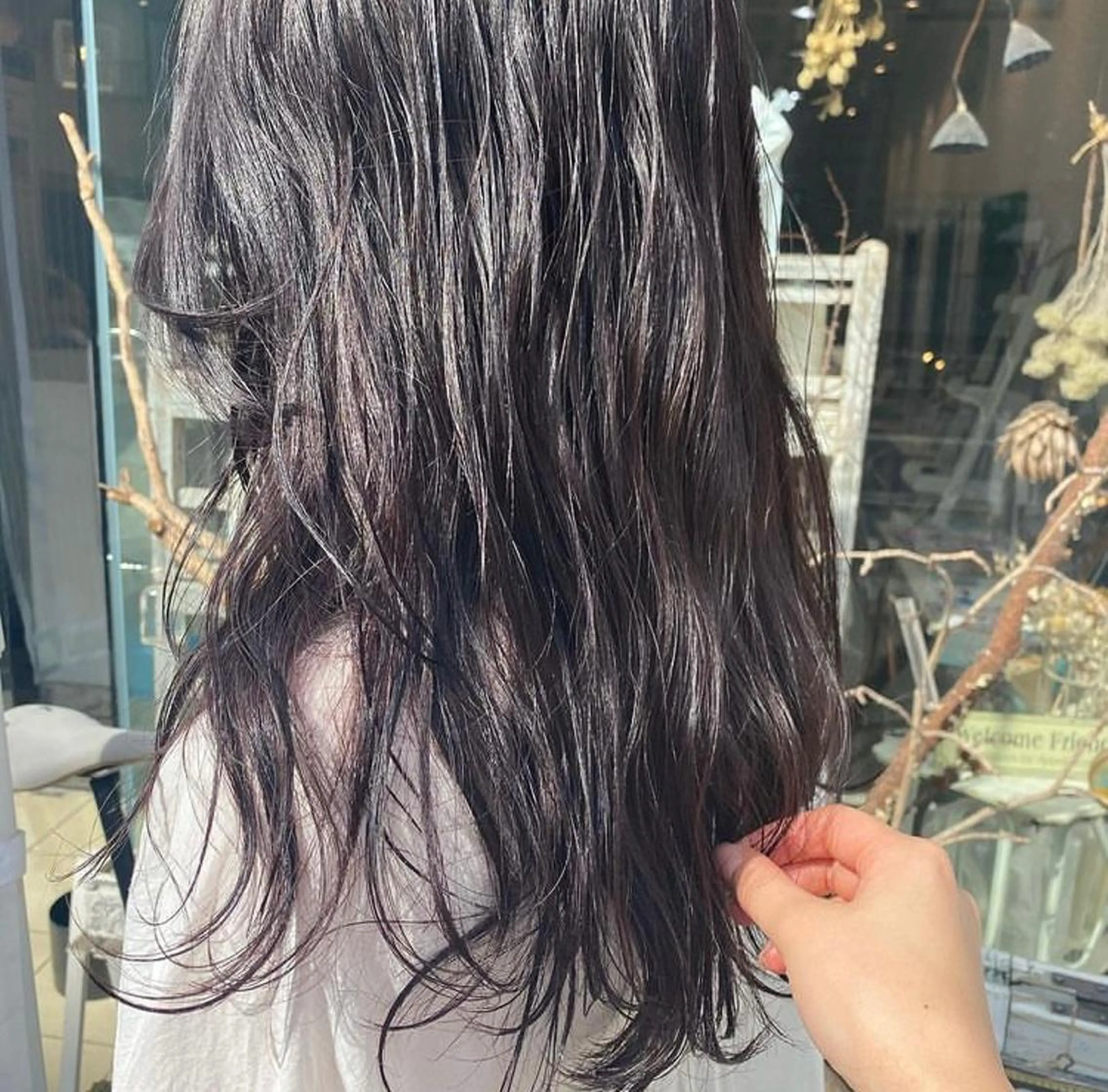 カラー☀️の写真