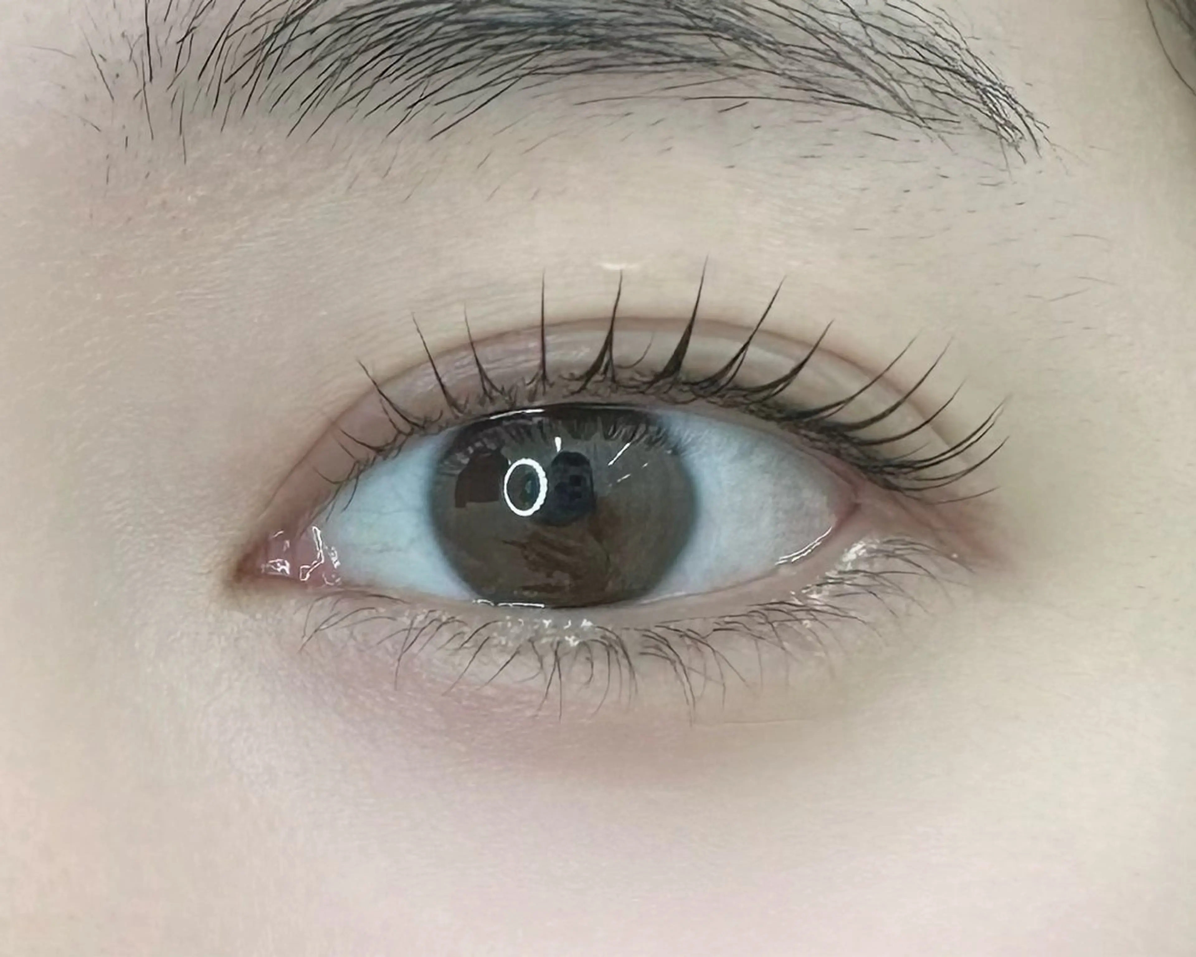 マツエク・マツパ templem 🪽shinoのマツエク・マツパデザイン